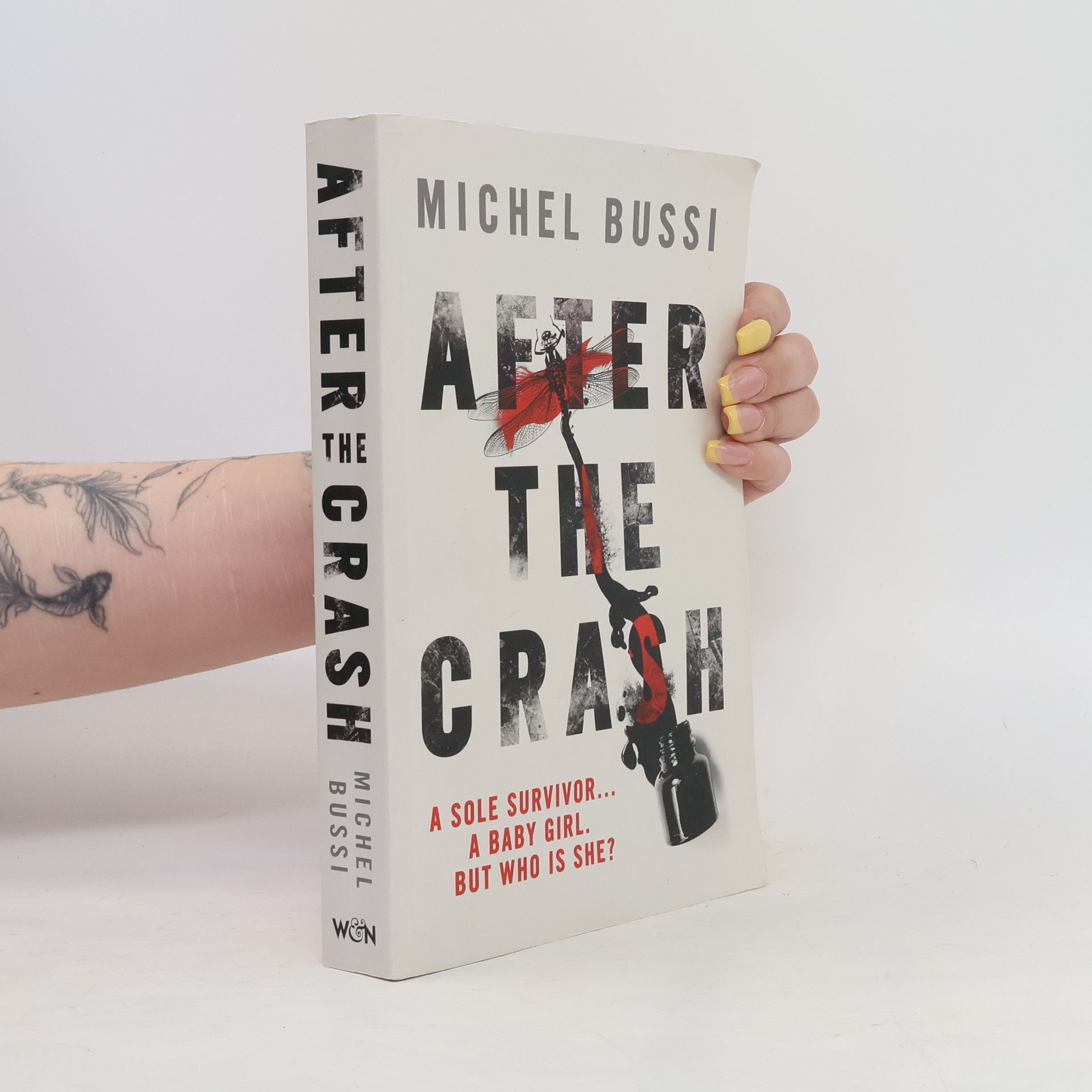 Michel Bussi After the Crash