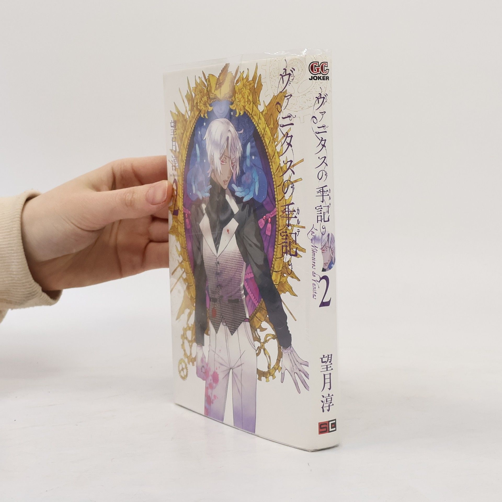 望月淳 ヴァニタスの手記