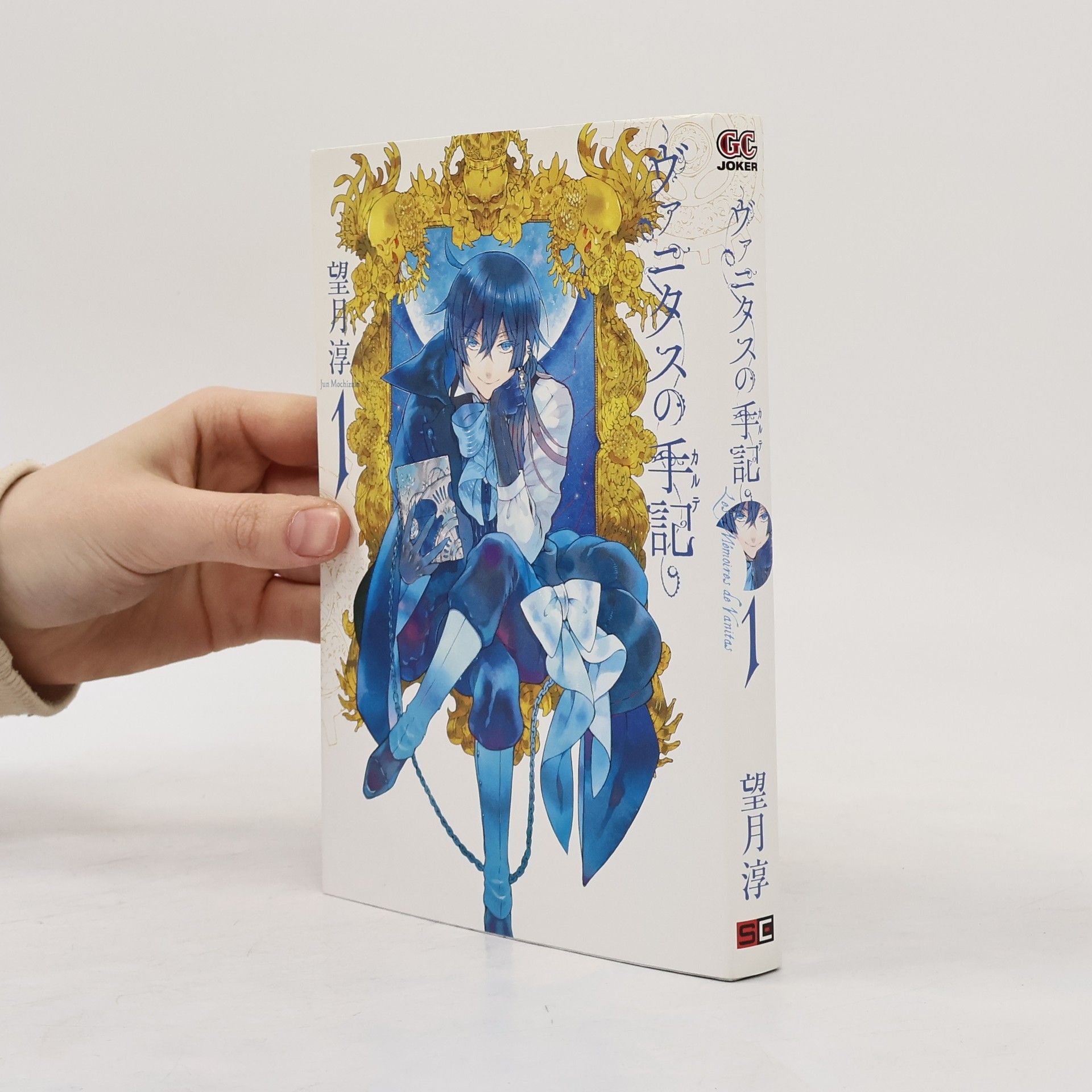 望月淳 ヴァニタスの手記