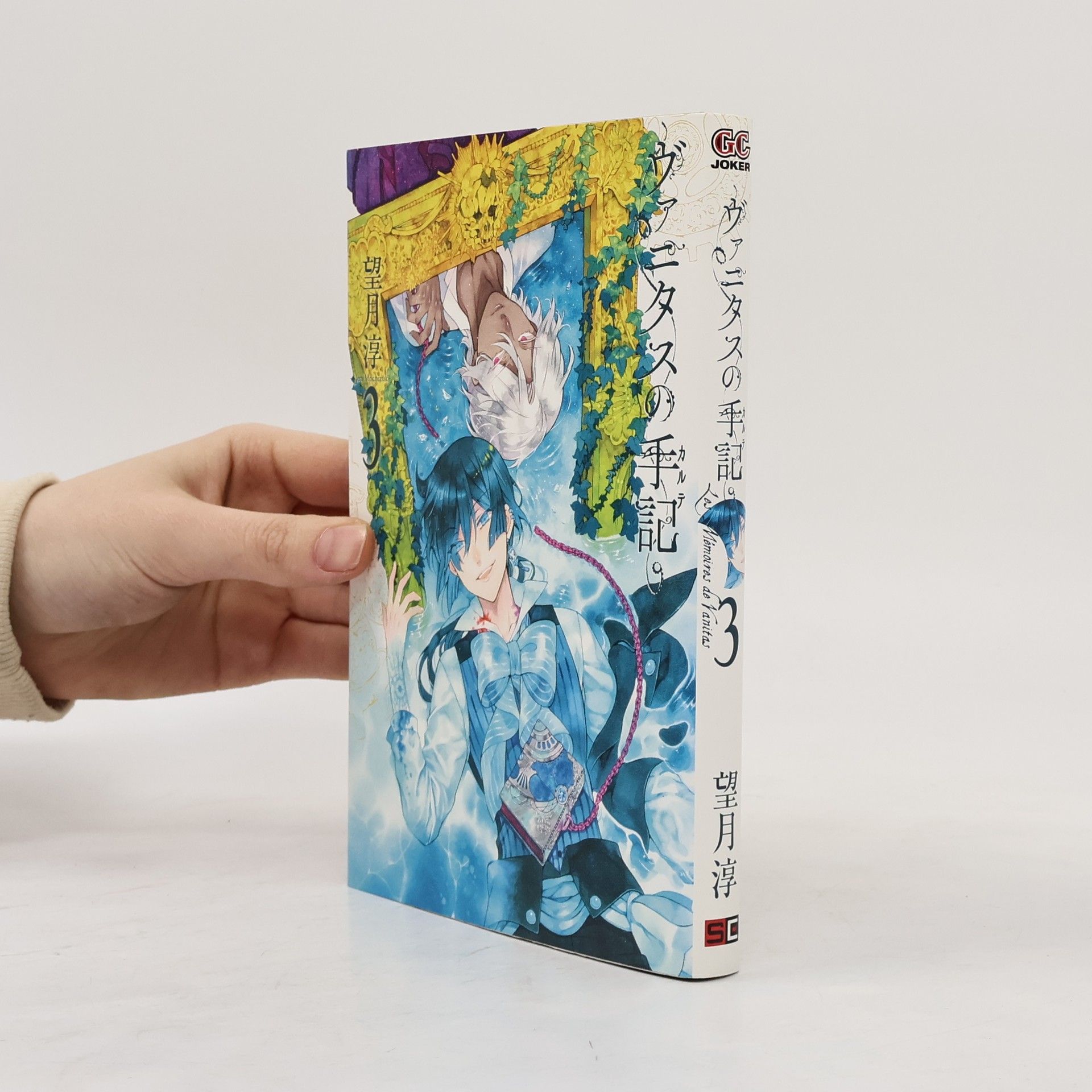 望月 淳 ヴァニタスの手記