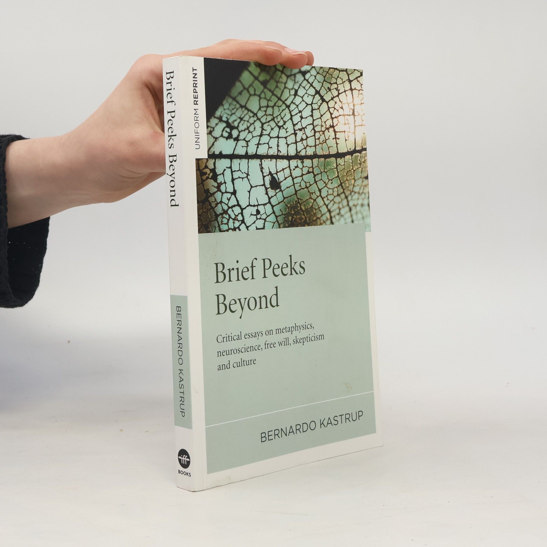 Bernardo Kastrup Brief Peeks Beyond