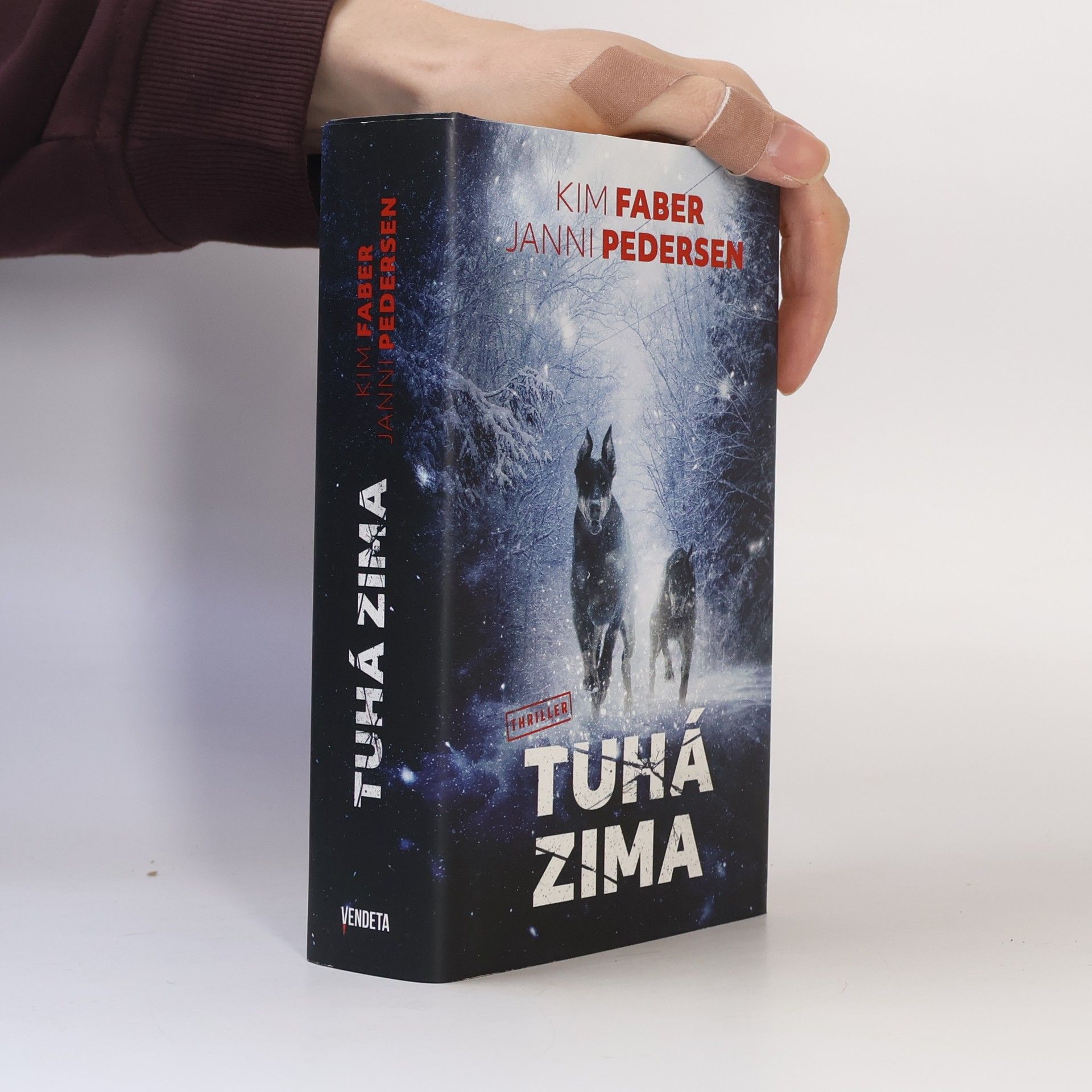 Kim Faber Tuhá zima