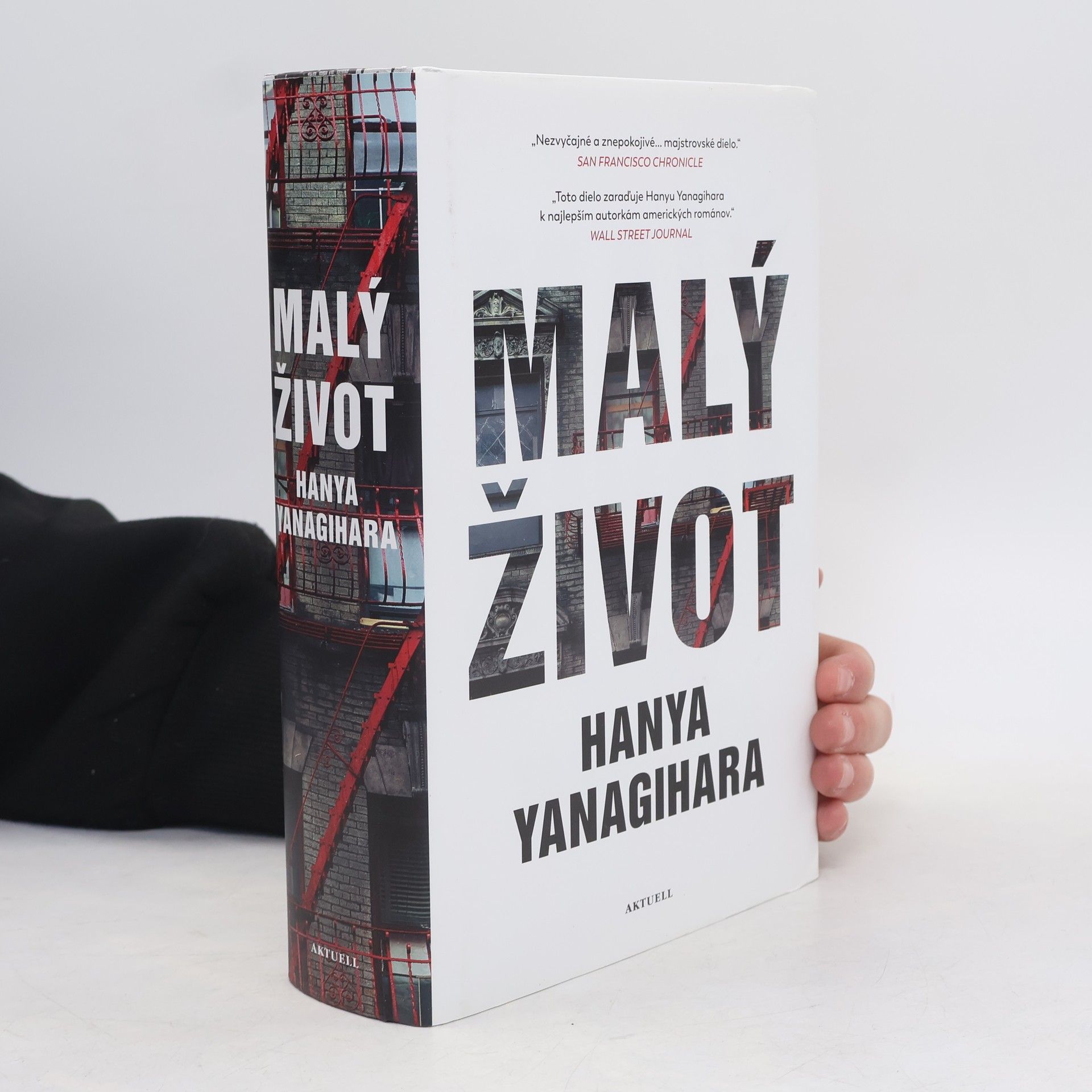 Hanya Yanagihara Malý život