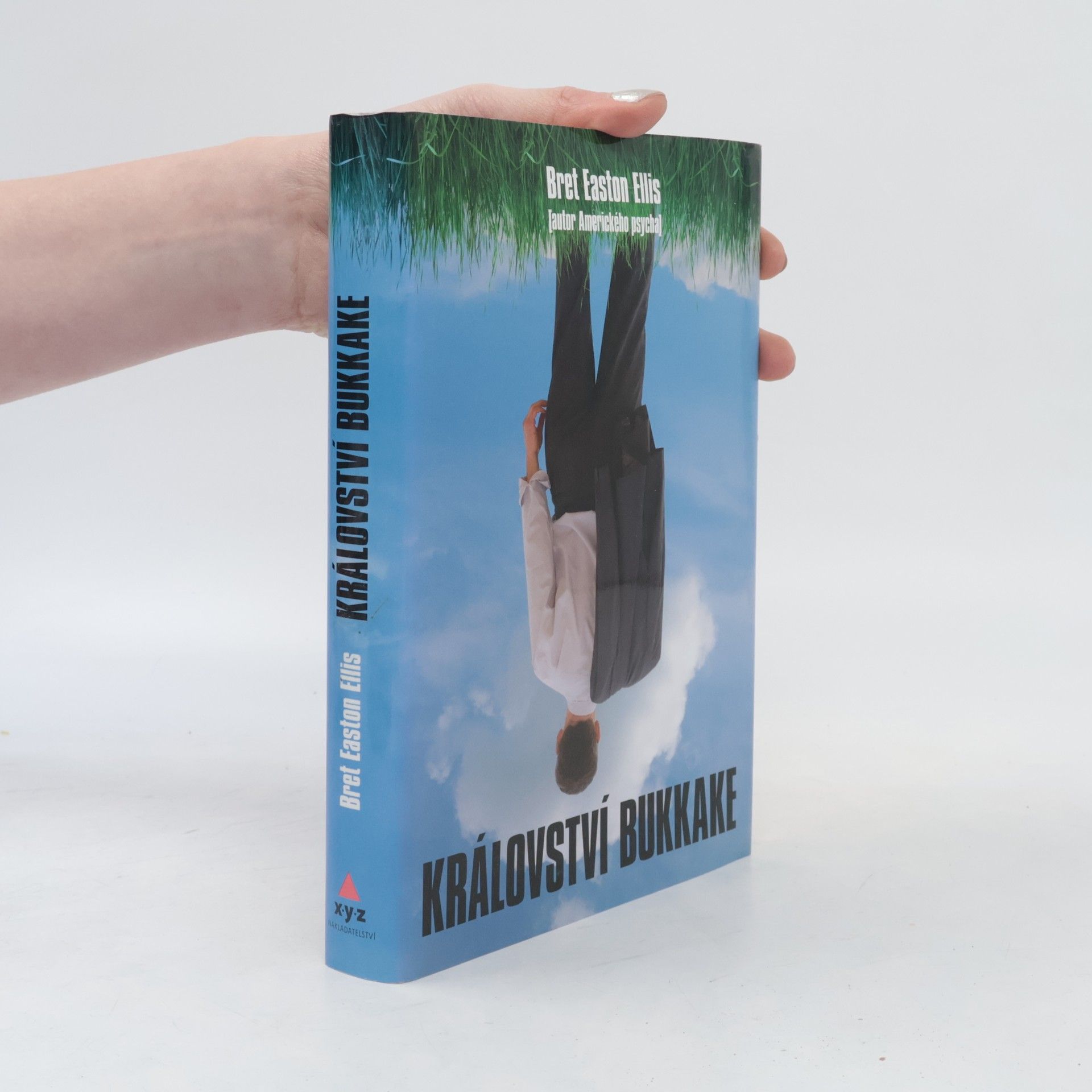 Bret Easton Ellis Království bukkake