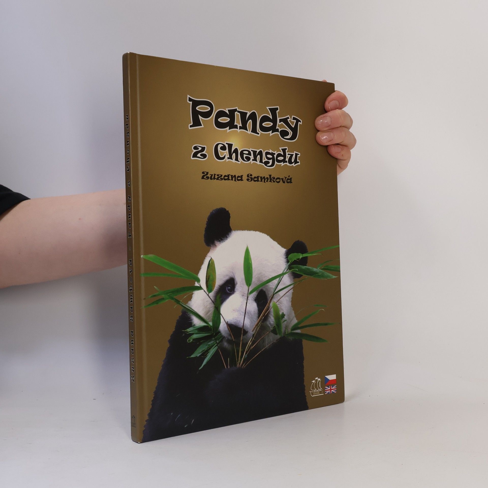 Pandy z Chengdu