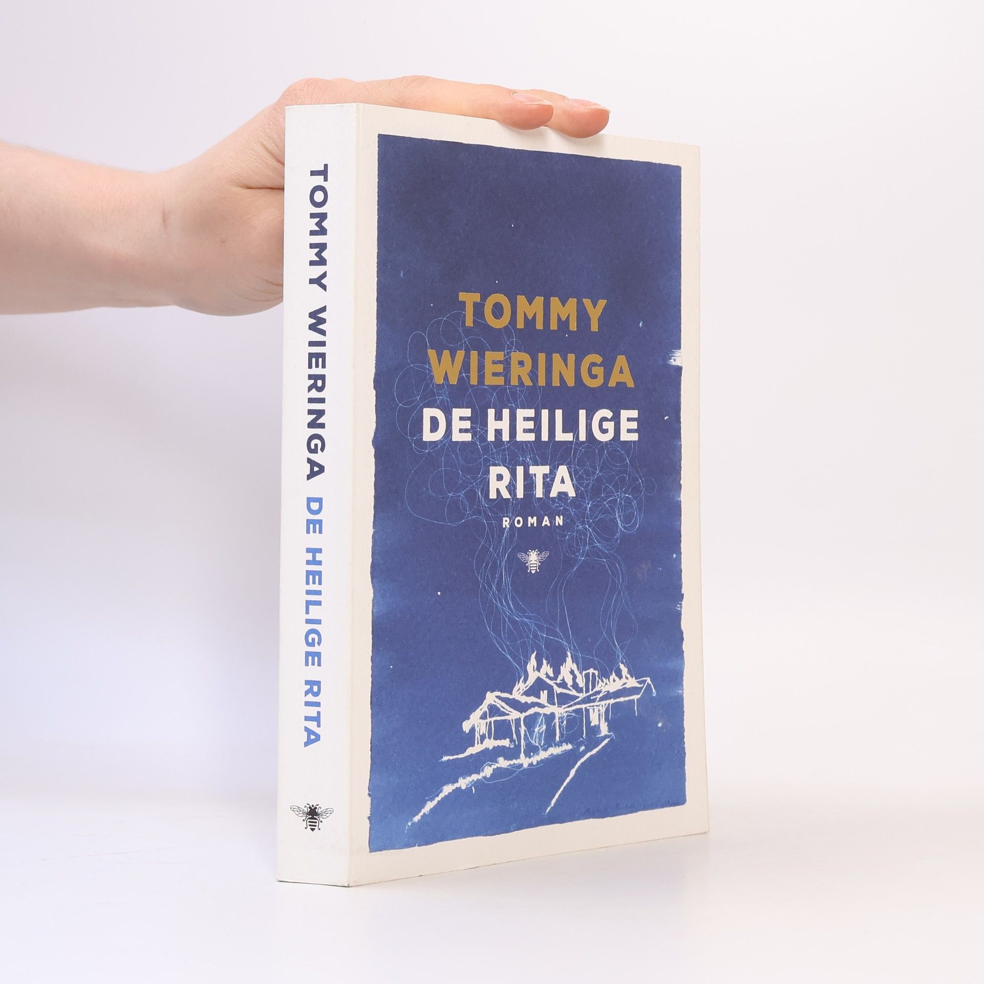 Tommy Wieringa De heilige Rita
