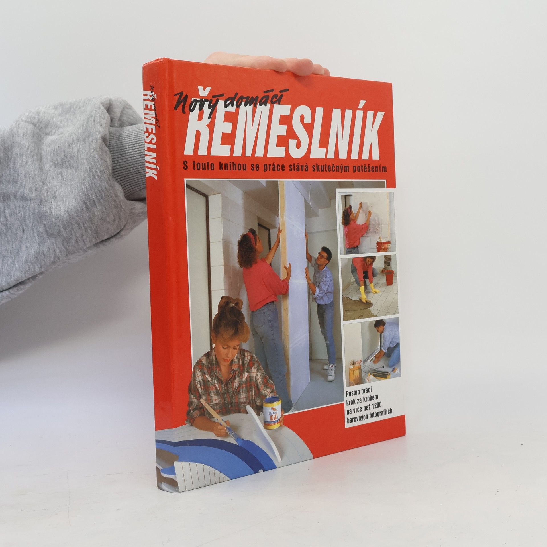 Dieter Rex Nový domácí řemeslník