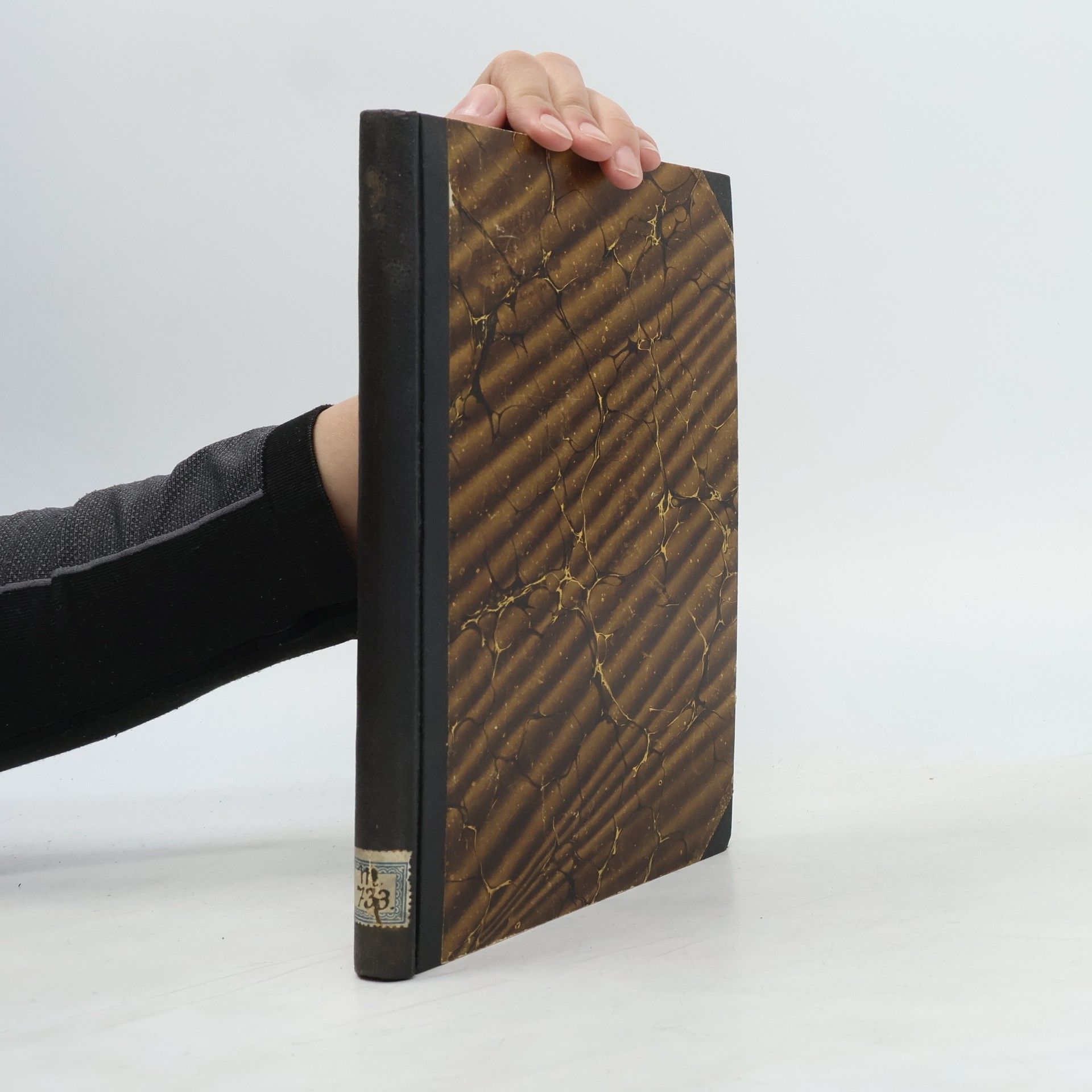 Wolfgang Ostwald  Die Welt der vernachlässigten Dimensionen