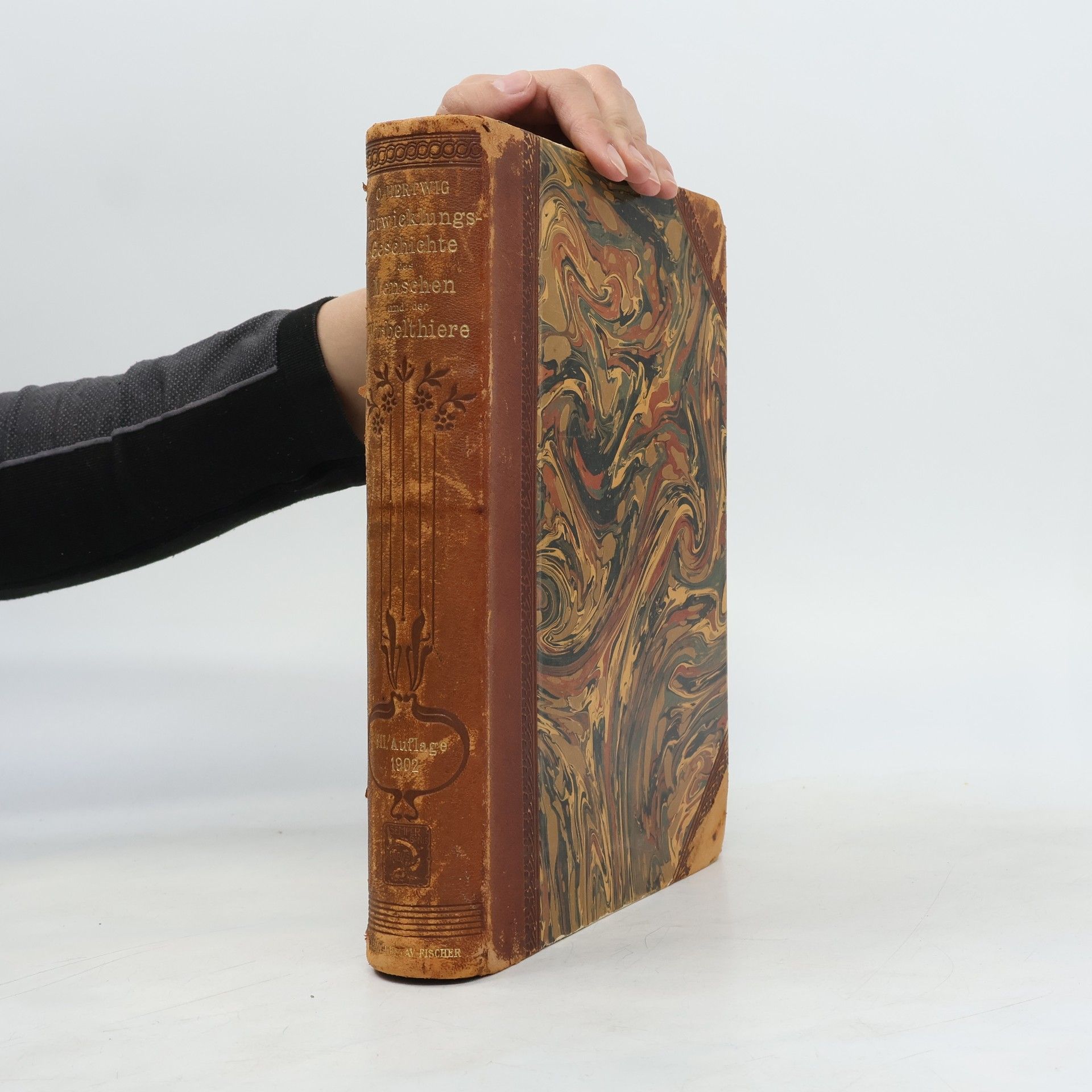 Oscar Hertwig Lehrbuch der Entwicklungsgeschichte des Menschen und der Wirbelthiere