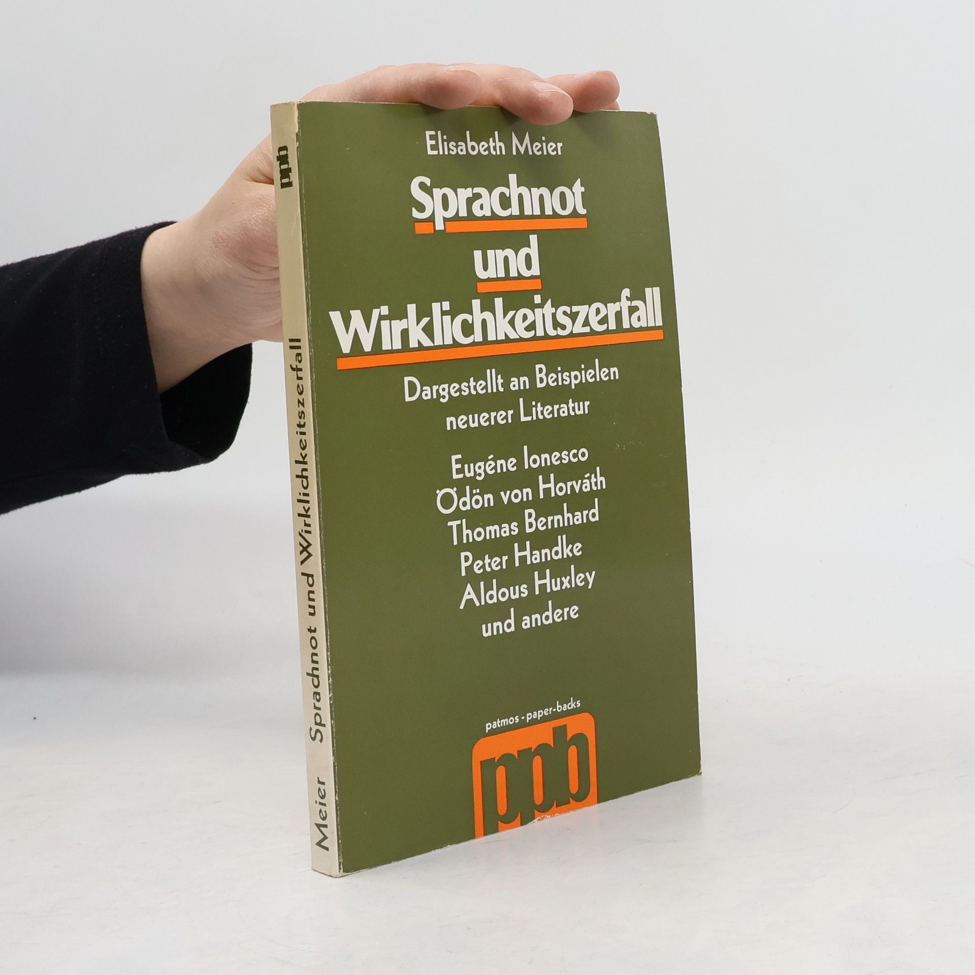 Elisabeth Meier Sprachnot und Wirklichkeitszerfall