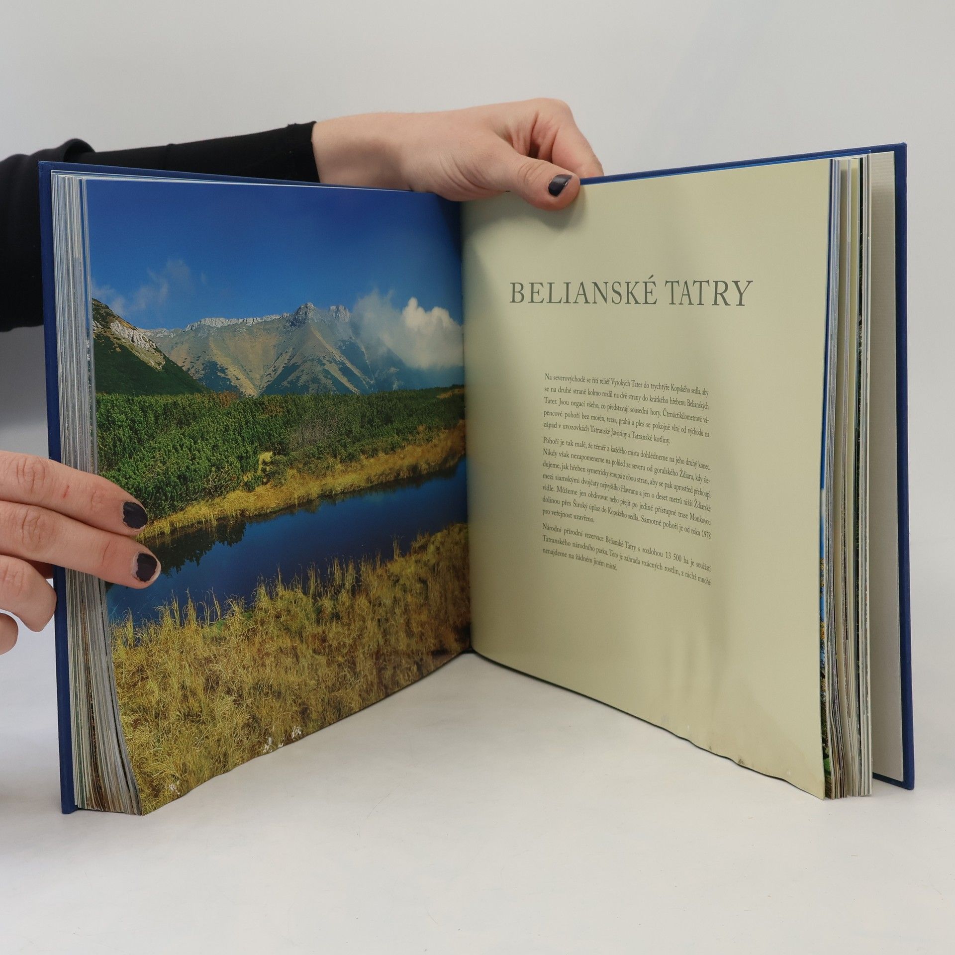 Stano Bellan Tatry