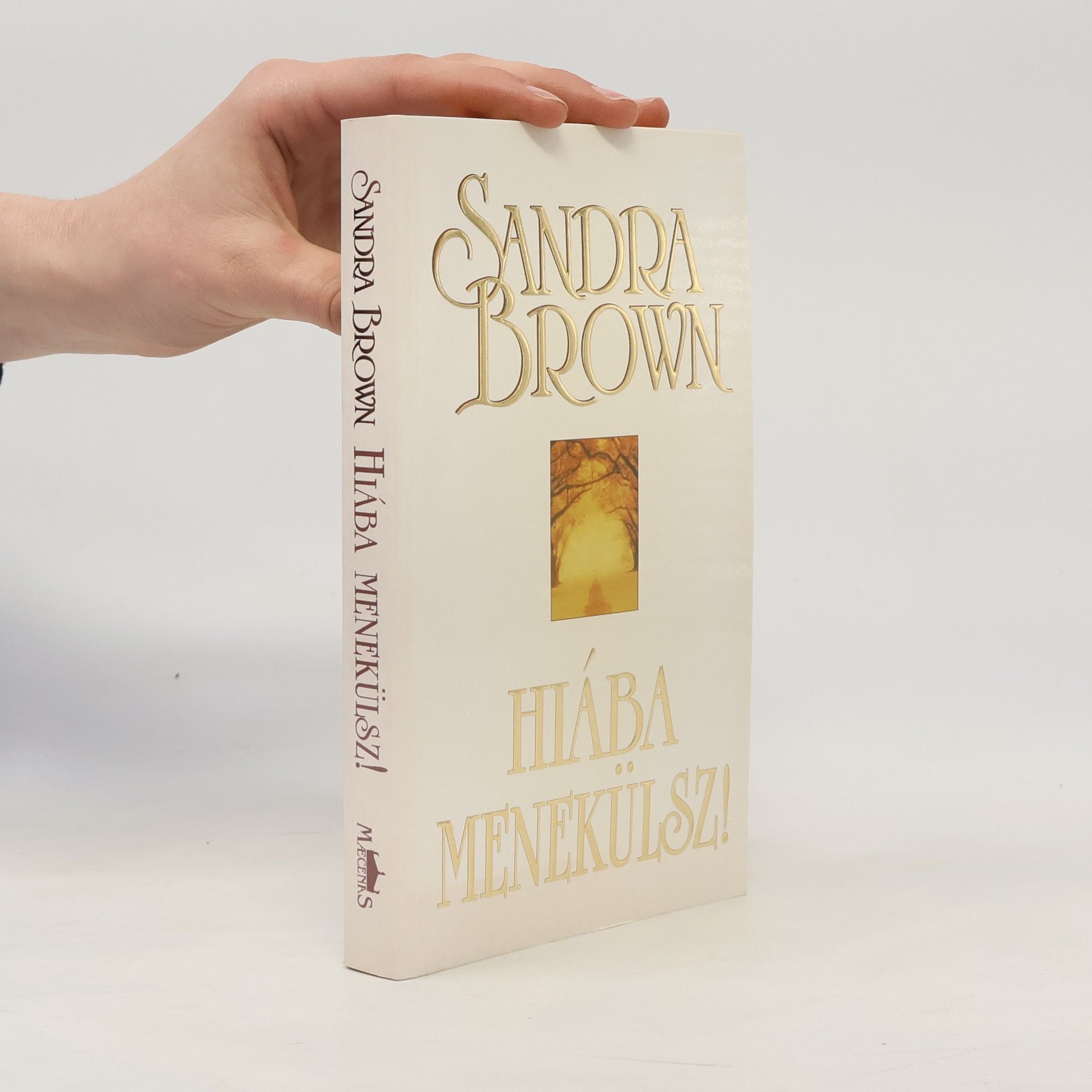 Sandra Brown Hiába menekülsz!