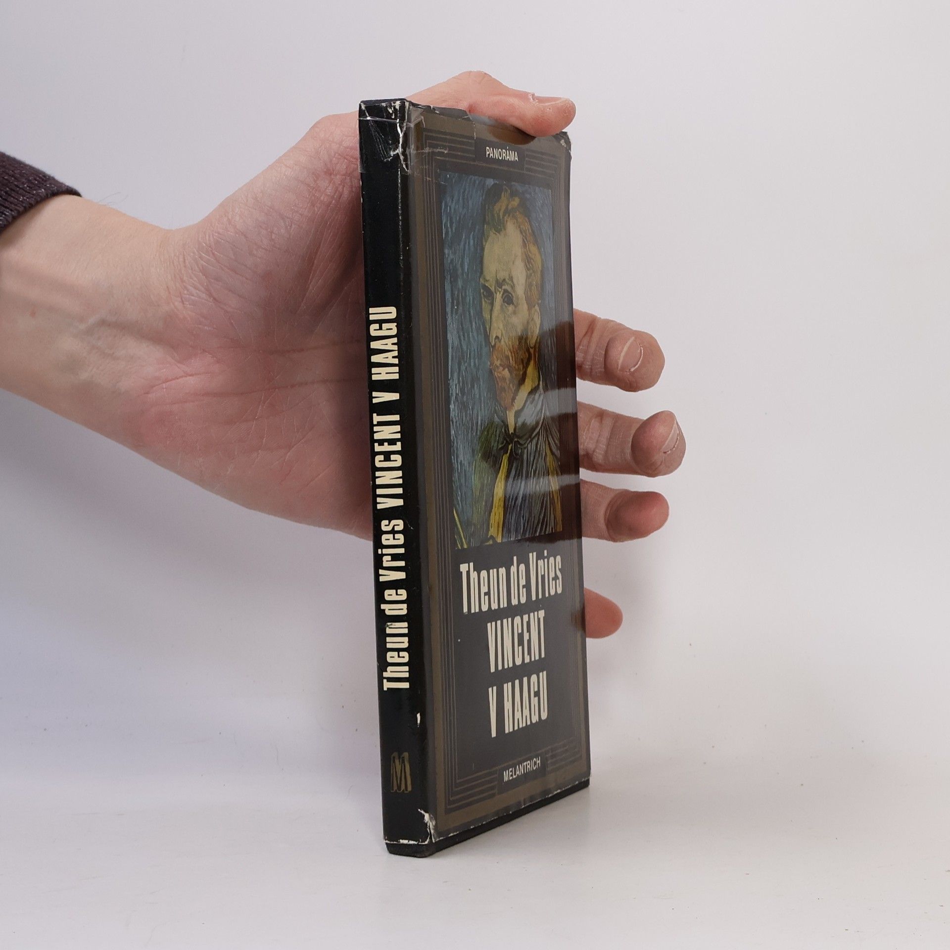 Theun de Vries Vincent v Haagu