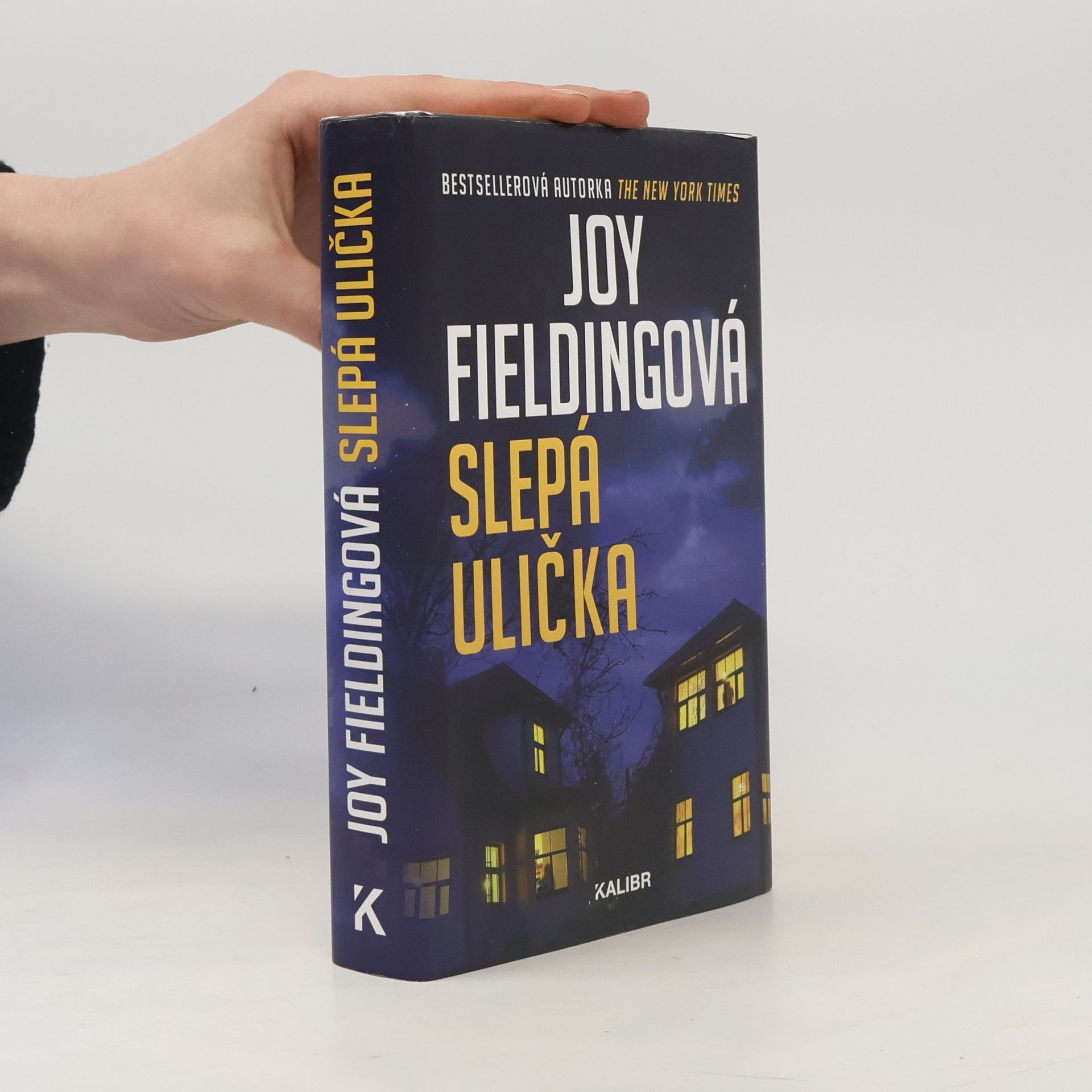 Joy Fielding Slepá ulička