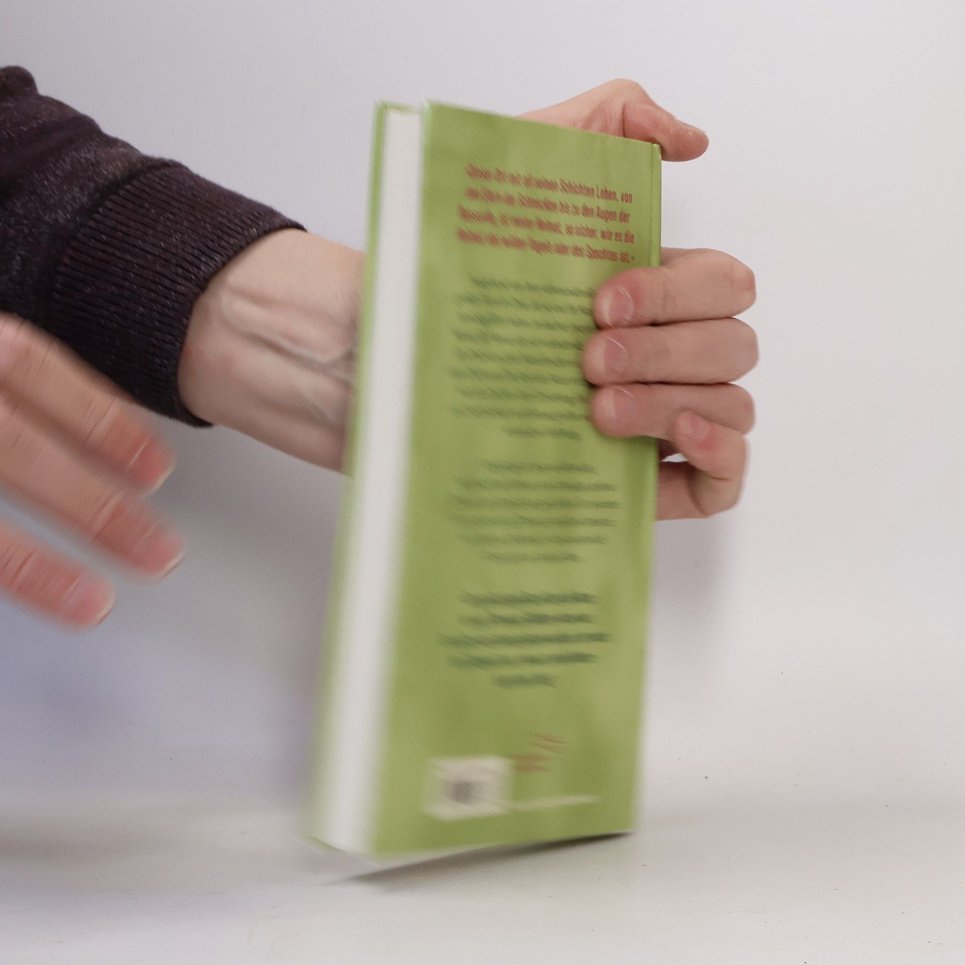 Andrea Wan Die Andere Bibliothek - 488: Ein Jahr in der Natur