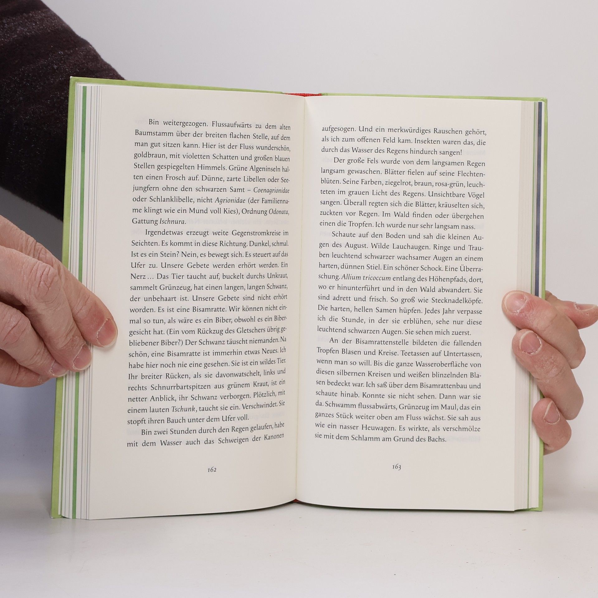 Andrea Wan Die Andere Bibliothek - 488: Ein Jahr in der Natur