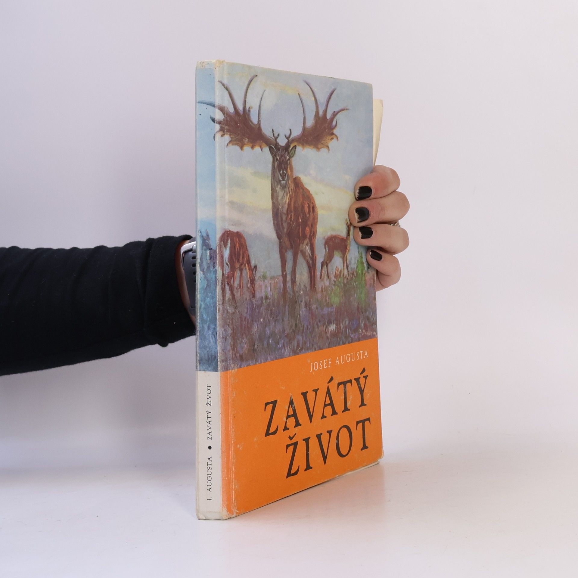 Josef Augusta Zavátý život