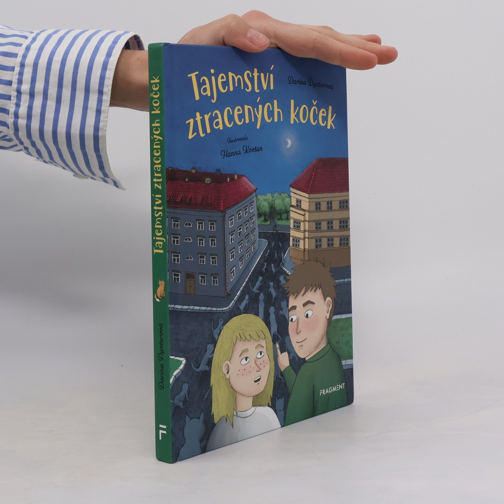 Darina Dyntarová Tajemství ztracených koček