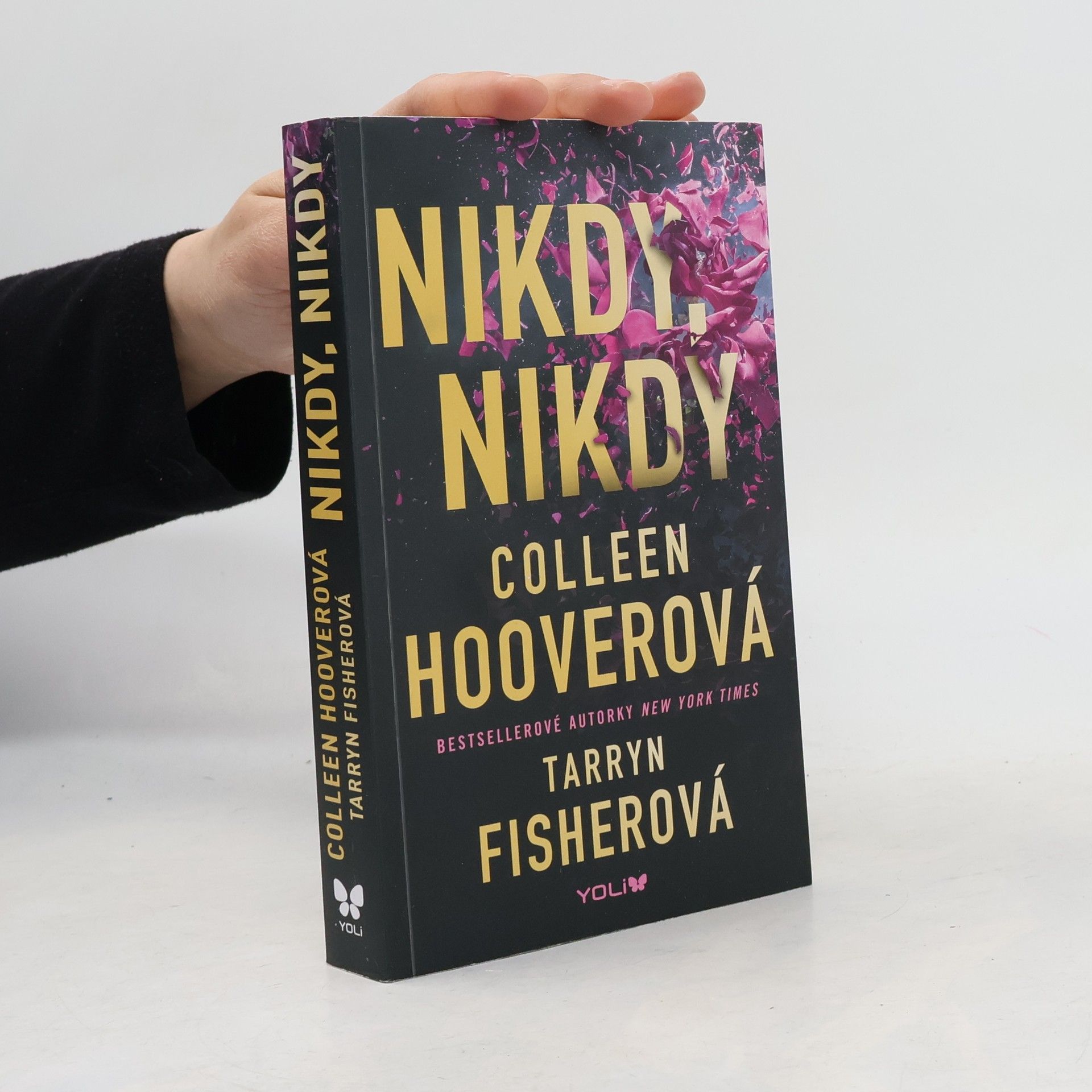 Colleen Hoover Nikdy, nikdy