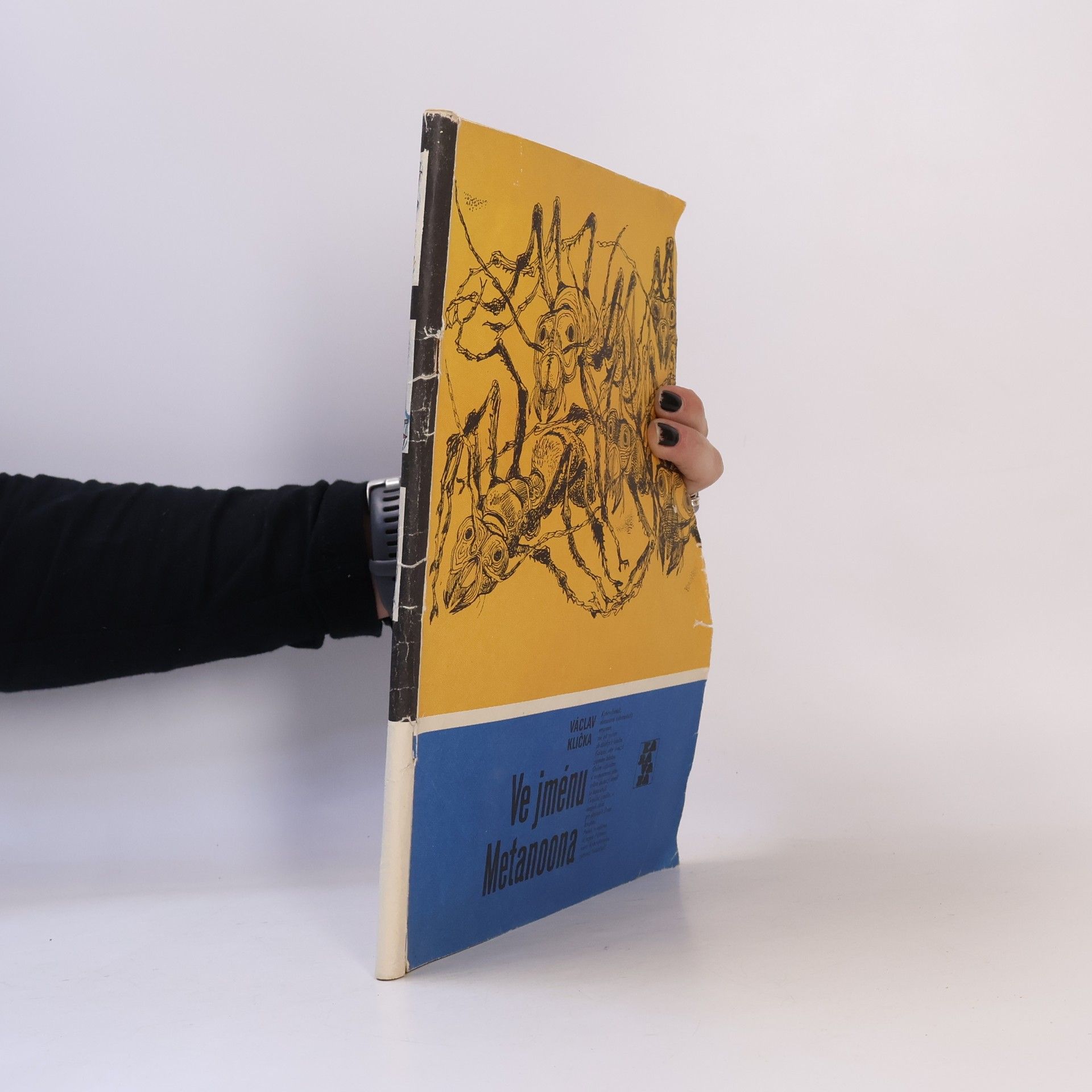 Jan Hejda Ve jménu Metanoona