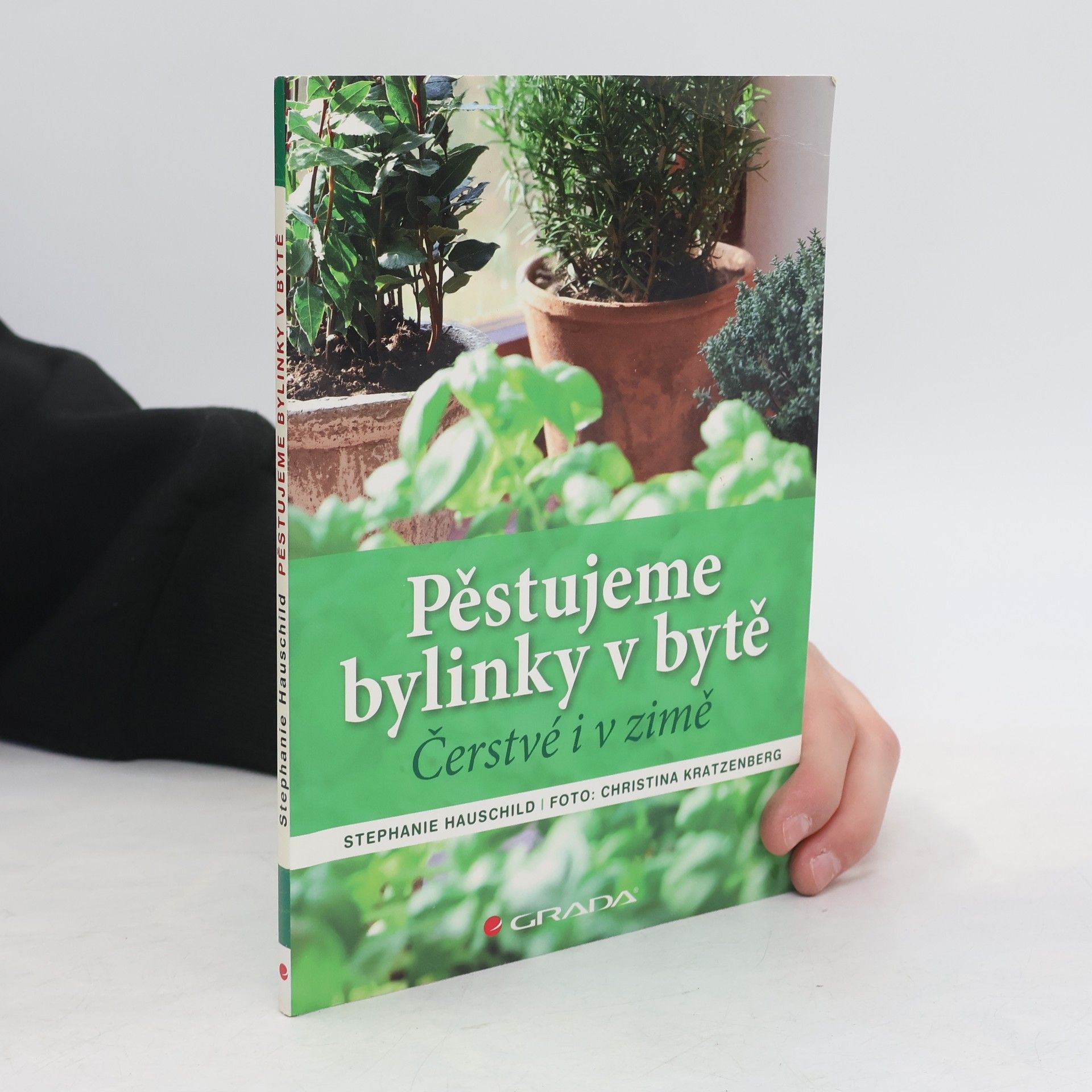 Pěstujeme bylinky v bytě. Čerstvé i v zimě