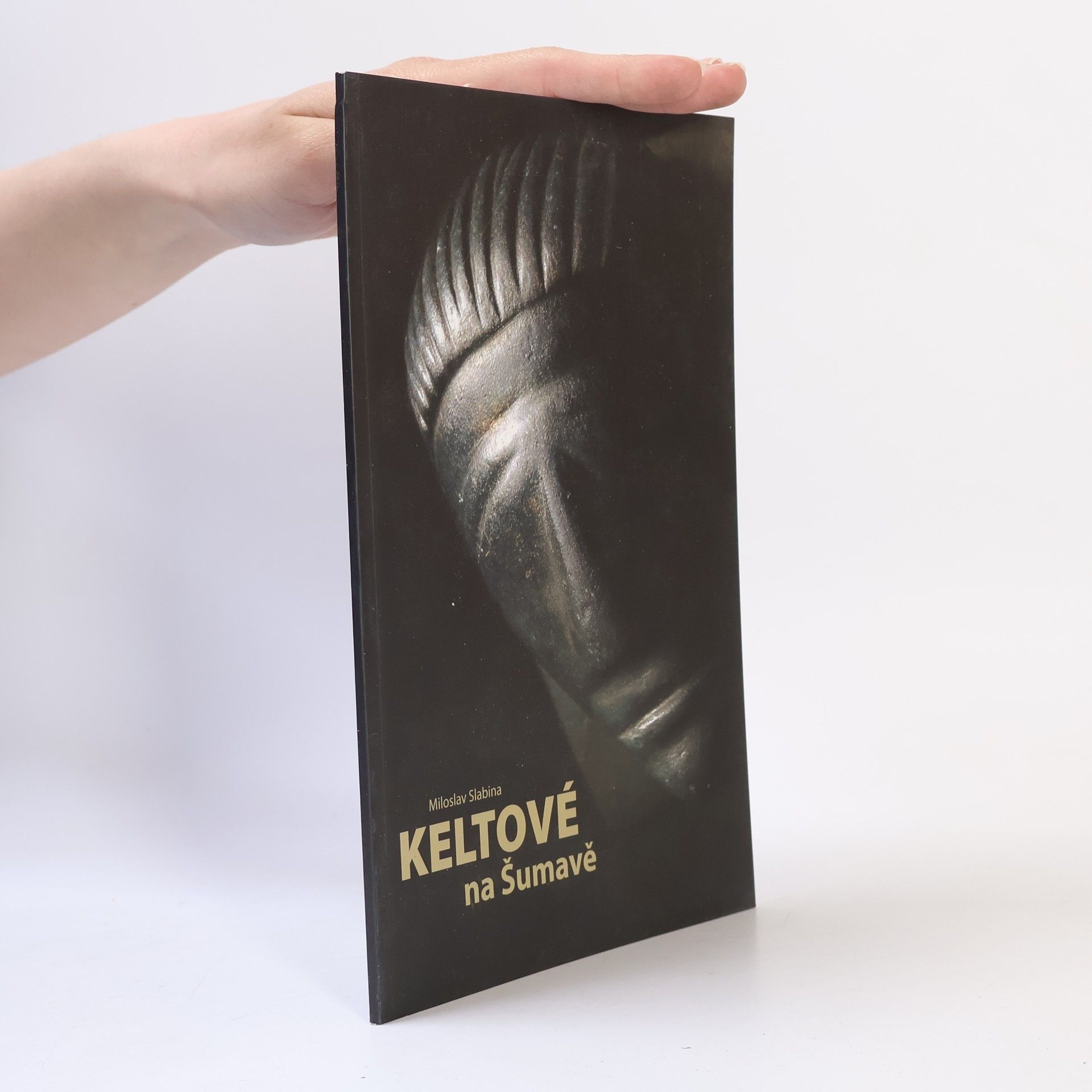 Miloslav Slabina Keltové na Šumavě : za tajemstvím Obřího hradu