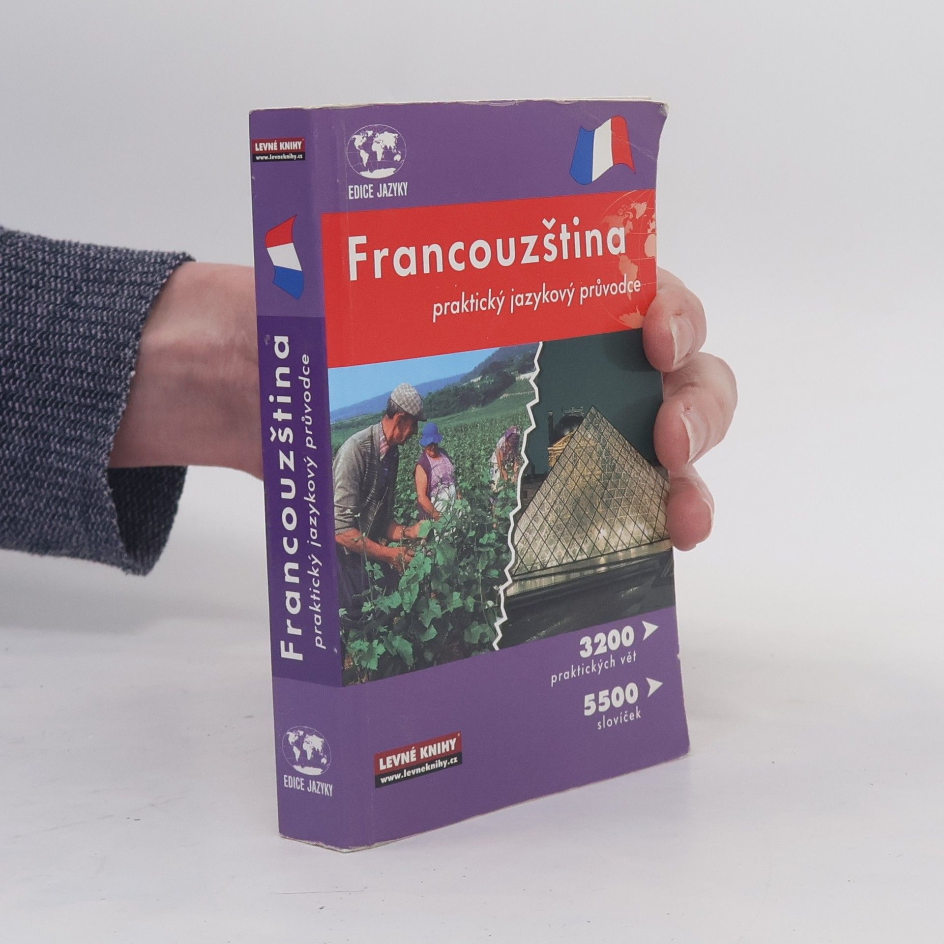 Francouzština - praktický jazykový průvodce