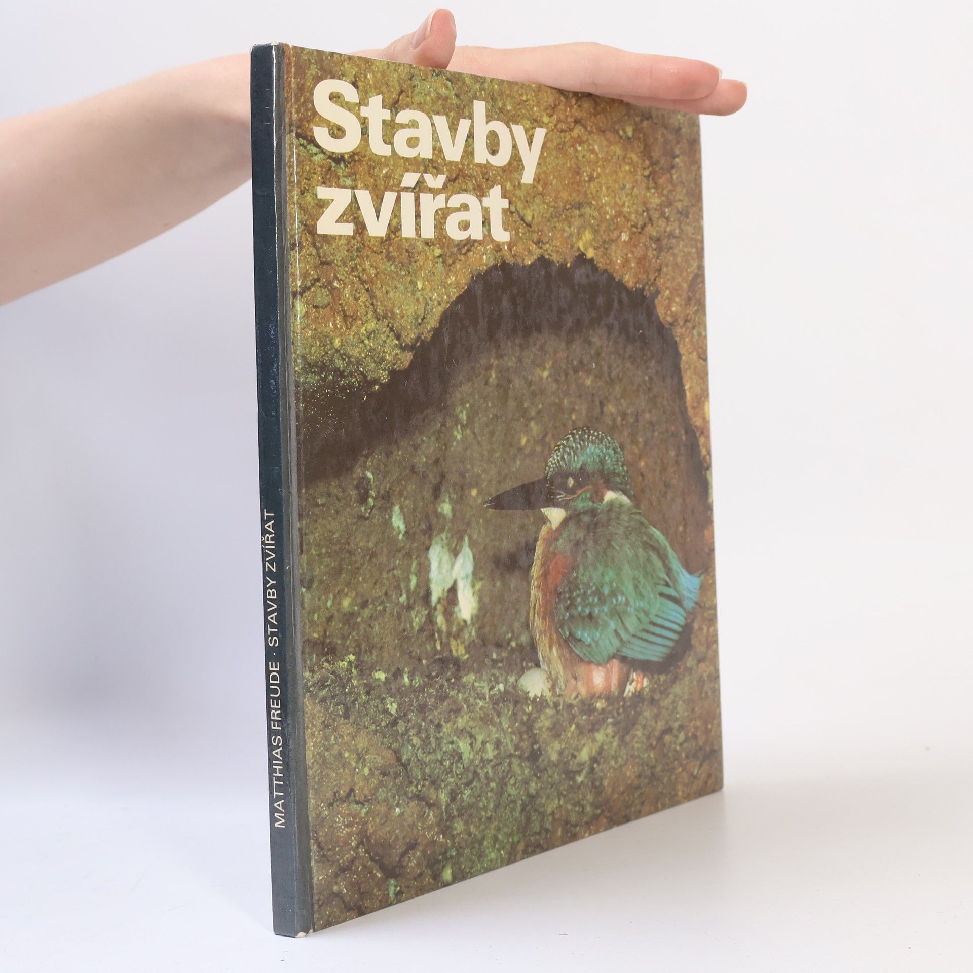 Stavby zvířat