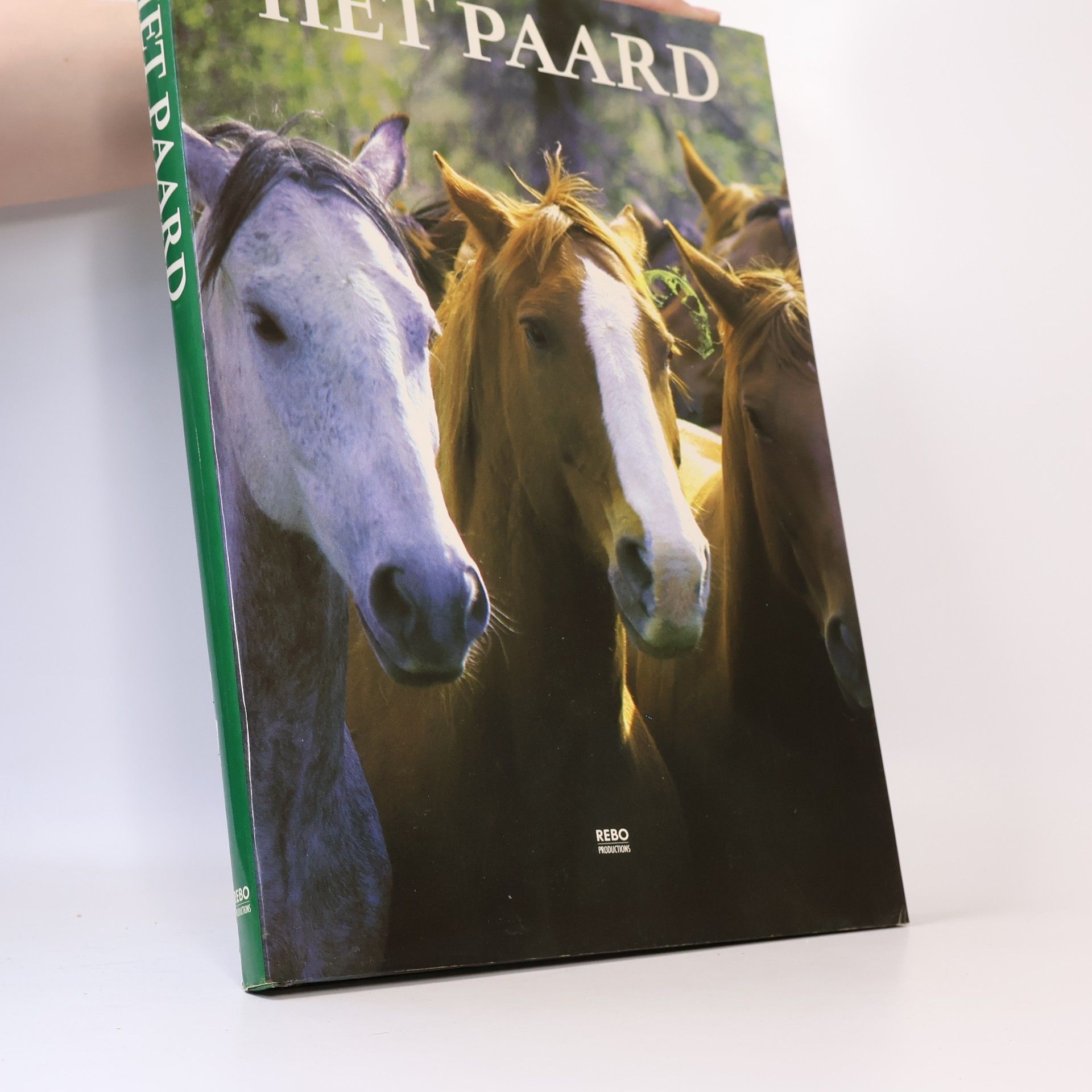 Marietta Whittlesey Het Paard