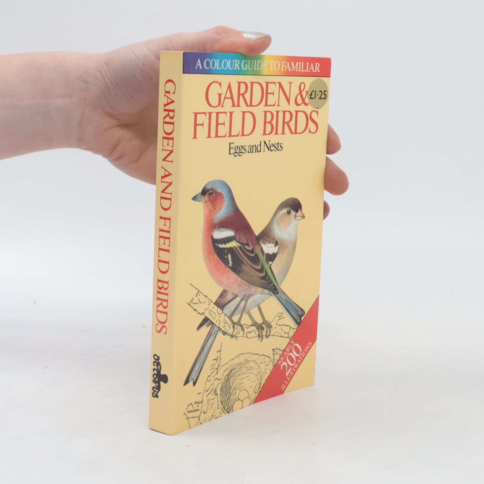 Jiří Felix Garden and field Birds