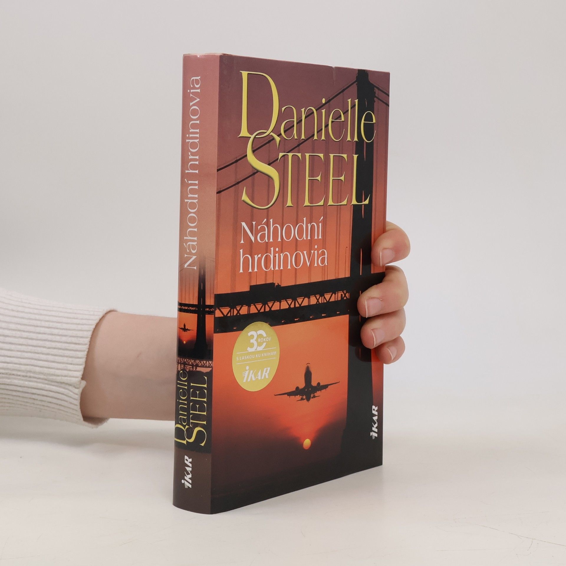 Danielle Steel Náhodní hrdinovia