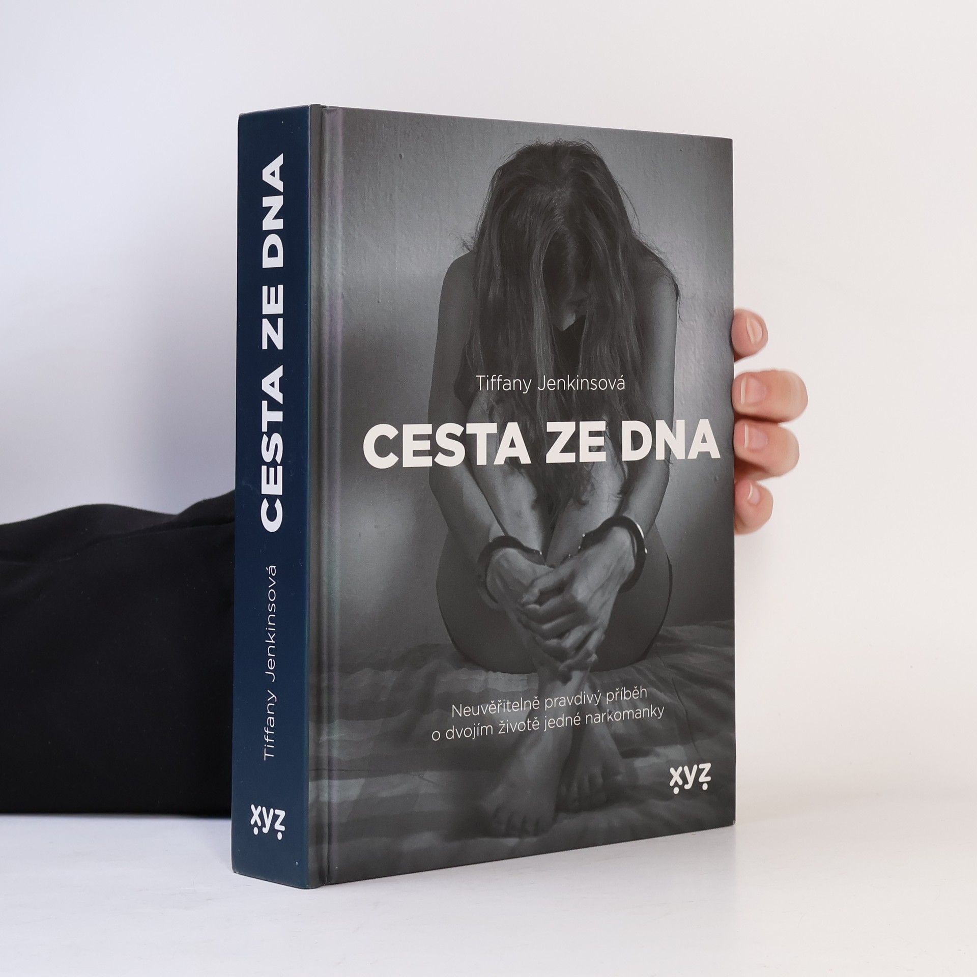 Tiffany Jenkins Cesta ze dna : neuvěřitelně pravdivý příběh o dvojím životě jedné narkomanky