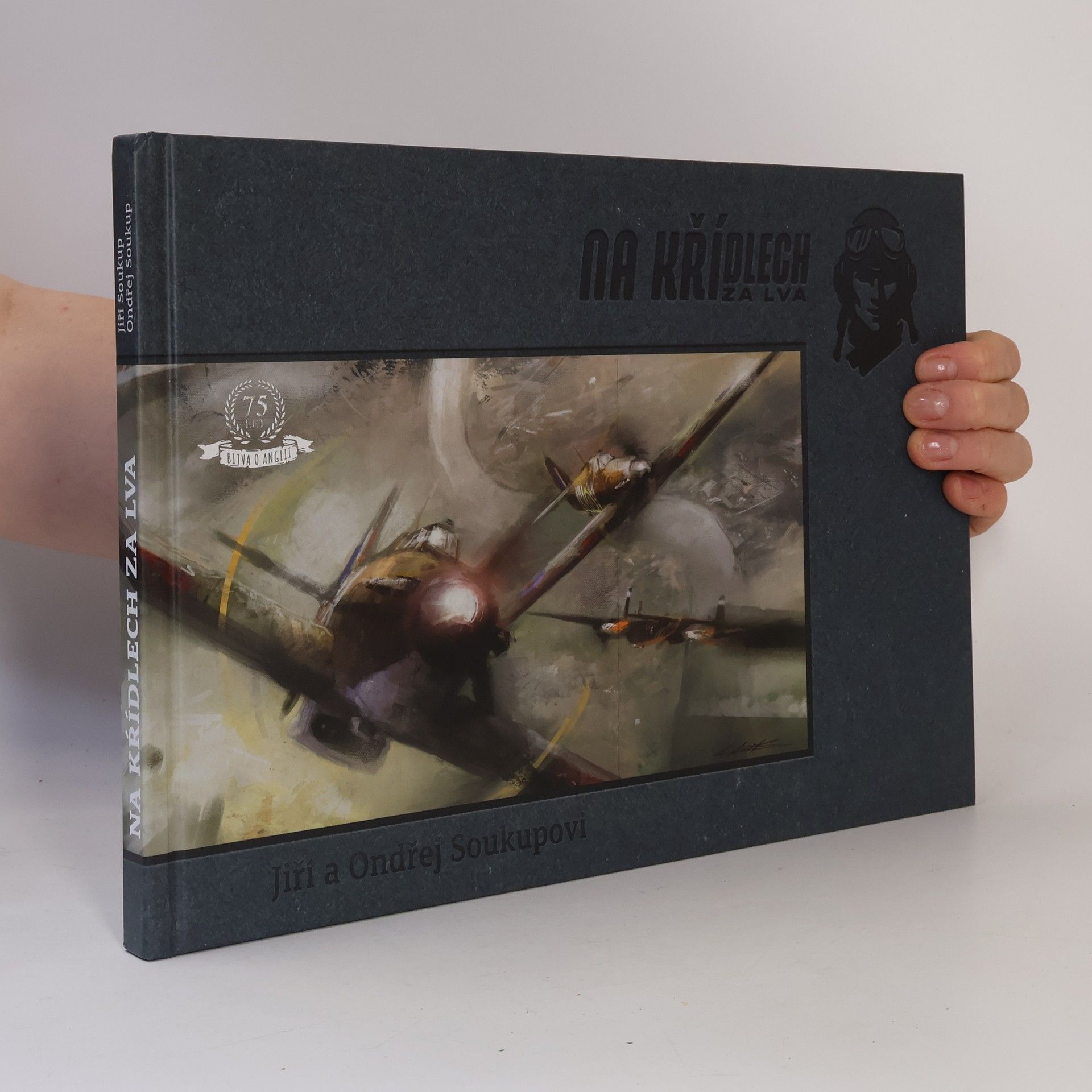 Jiří Soukup Na křídlech za lva