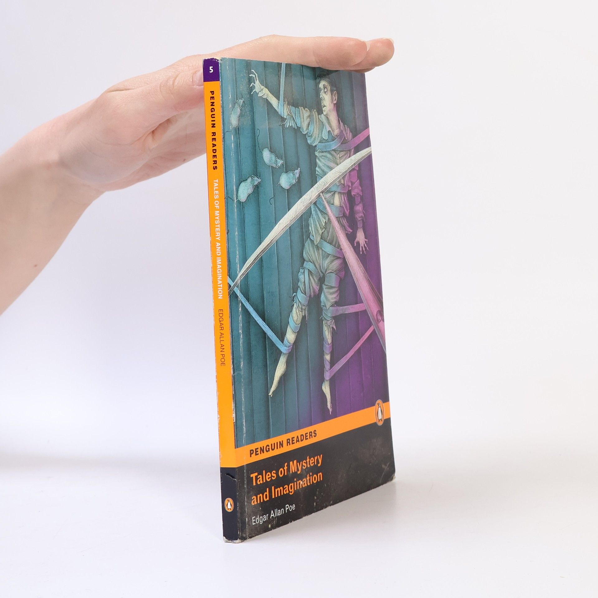 Edgar Allan Poe Tales of Mystery and Imagination