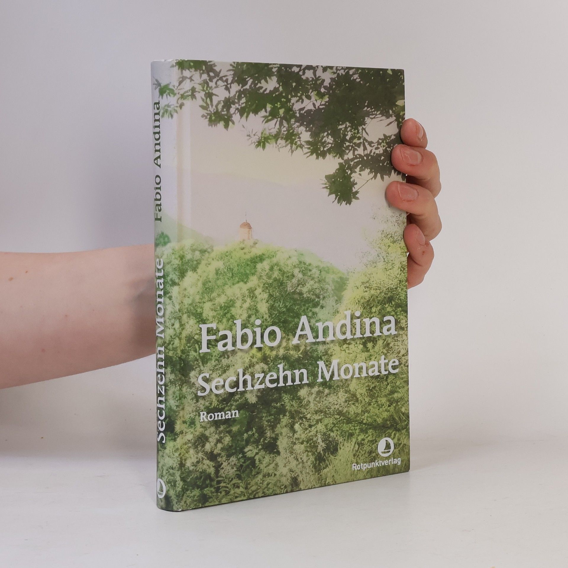 Fabio Andina Sechzehn Monate