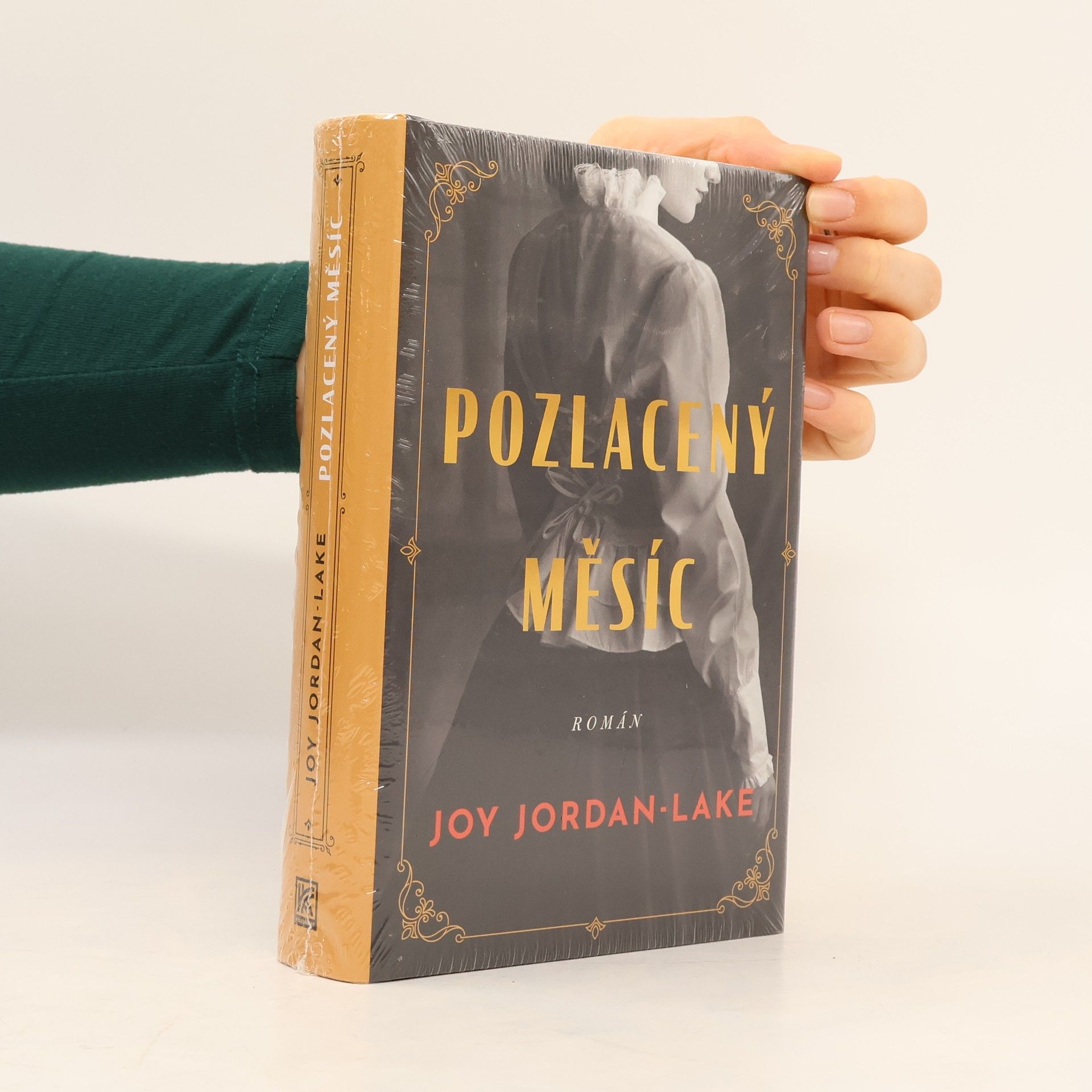 Joy Jordan-Lake Pozlacený měsíc