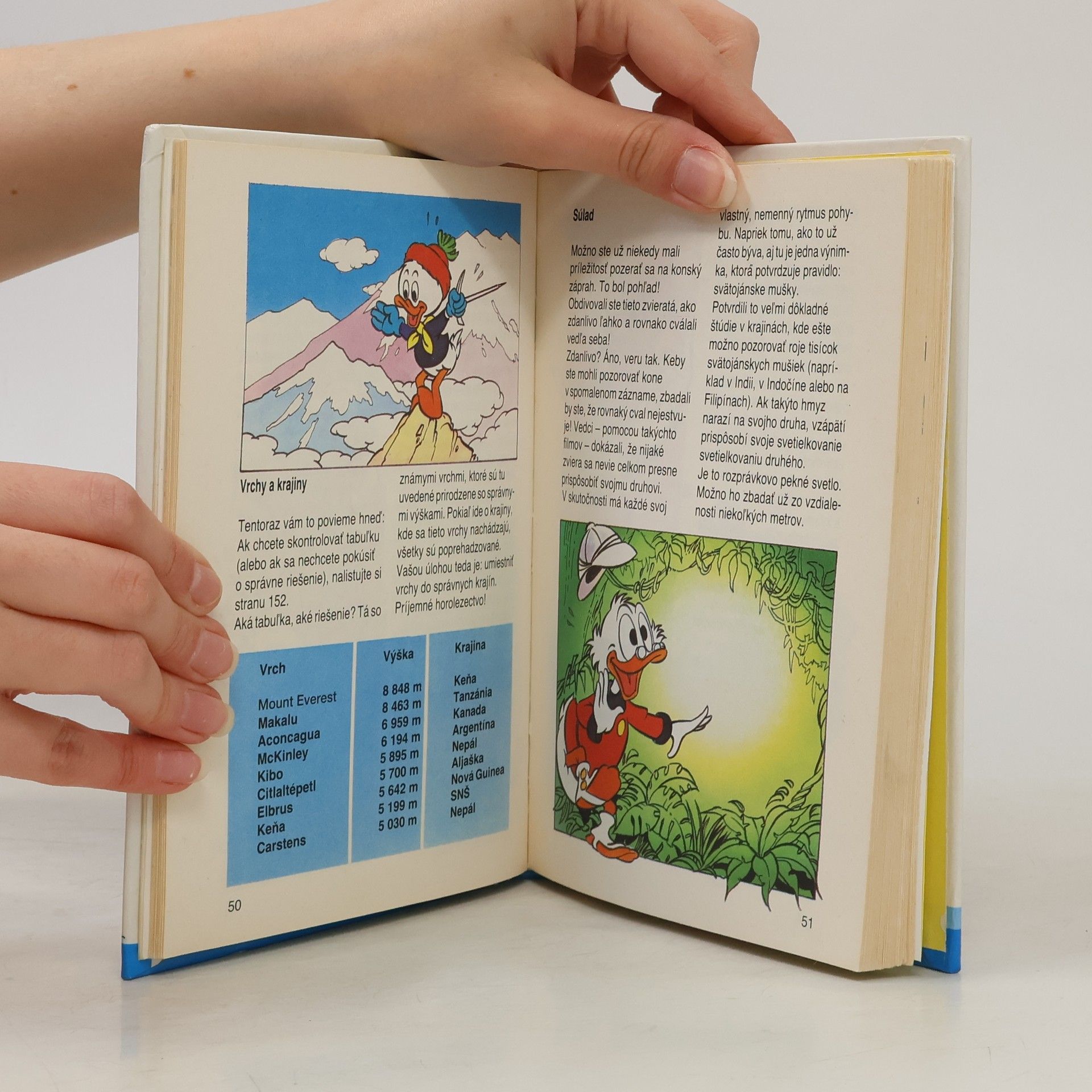Walt Disney Príručka mladých svišťov. Tajná príručka na všetky príležitosti