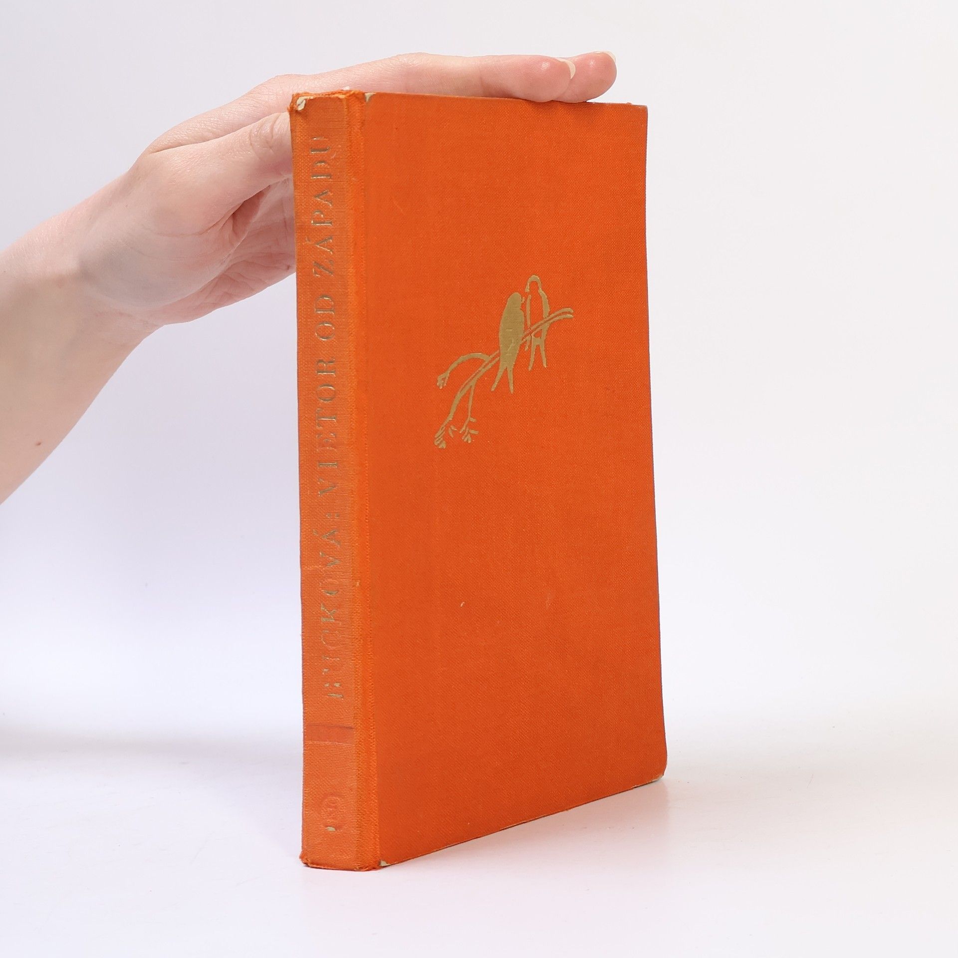 Pearl S. Buck Vietor od západu