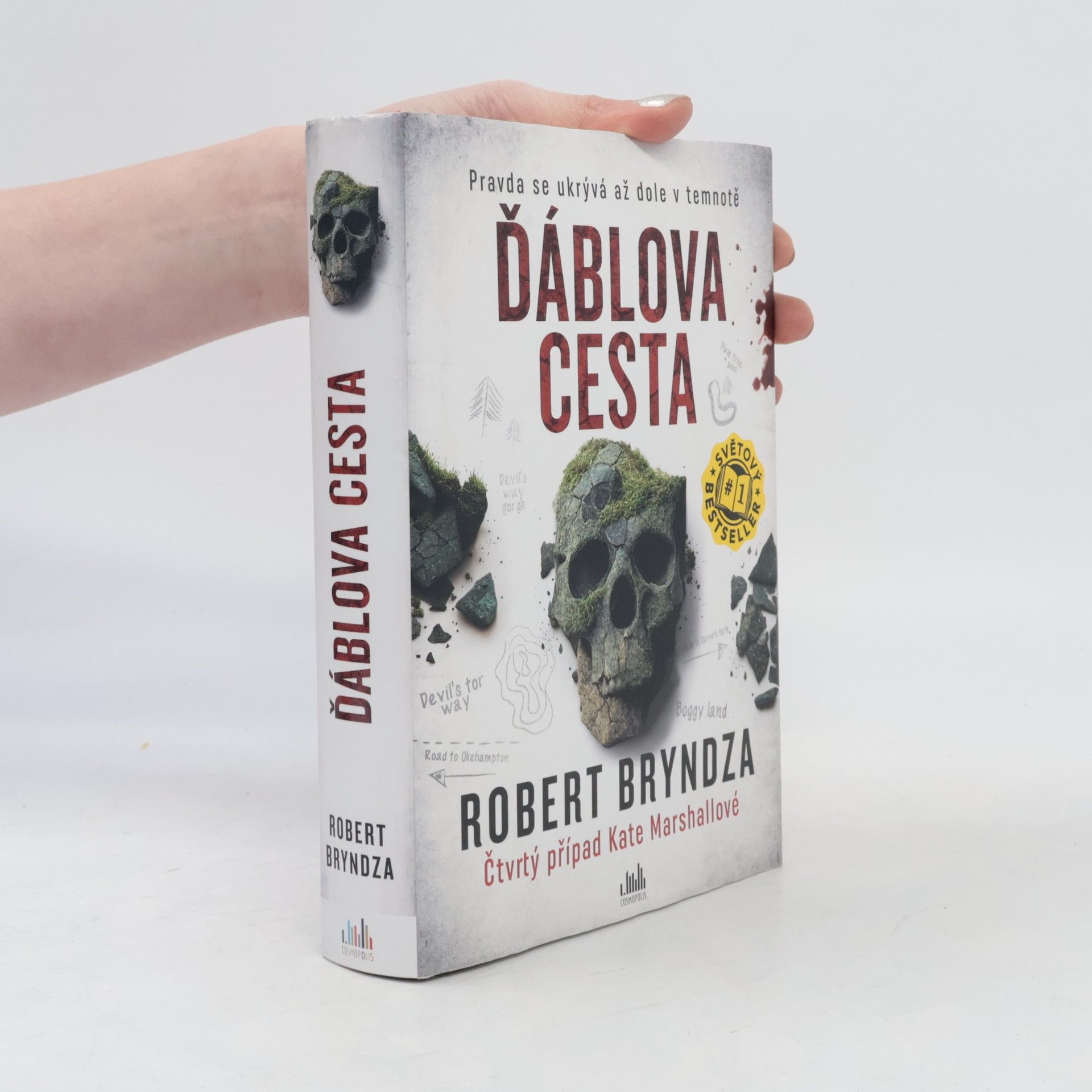 Robert Bryndza Ďáblova cesta