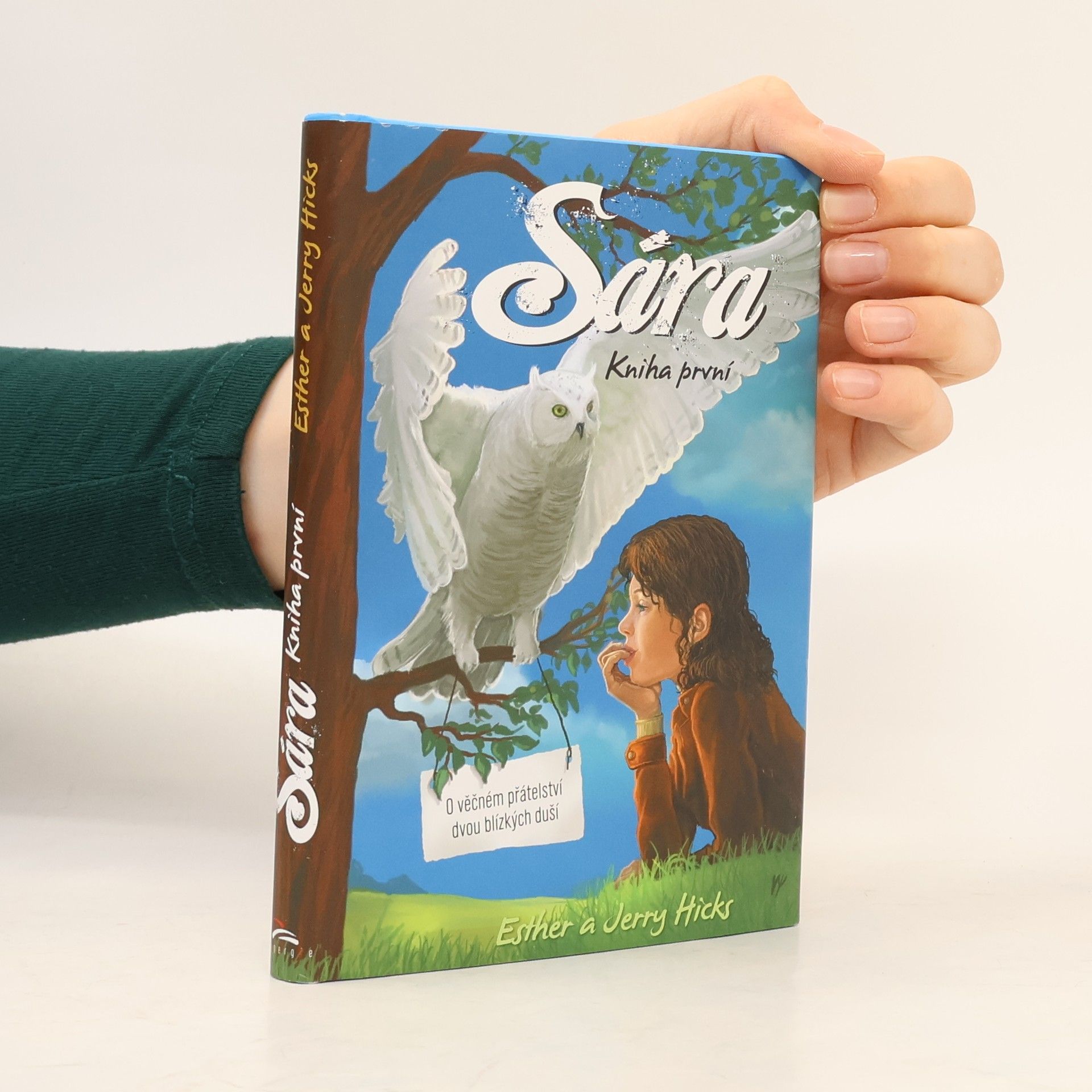 Sára. Kniha první, O věčném přátelství dvou blízkých duší