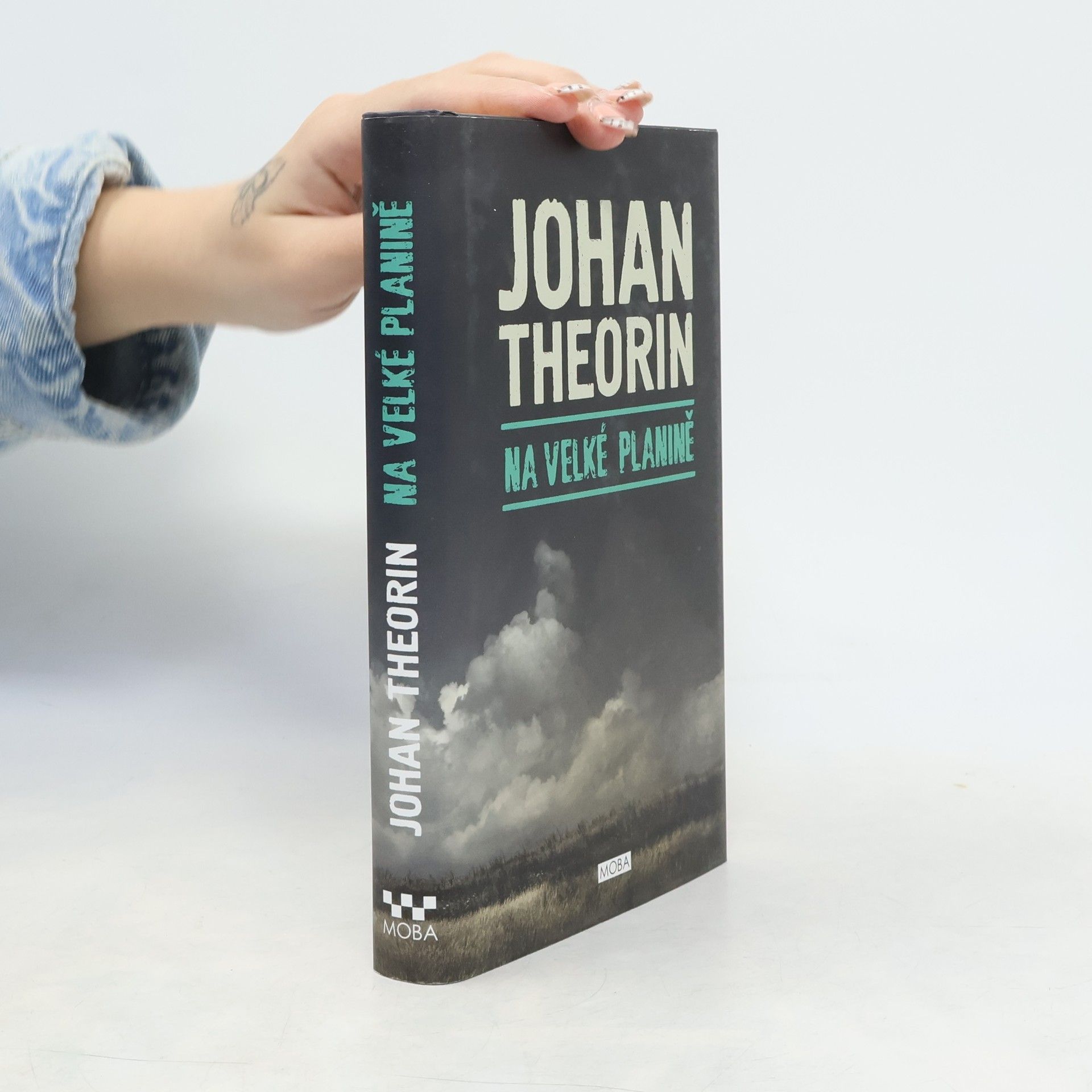 Johan Theorin Na velké planině