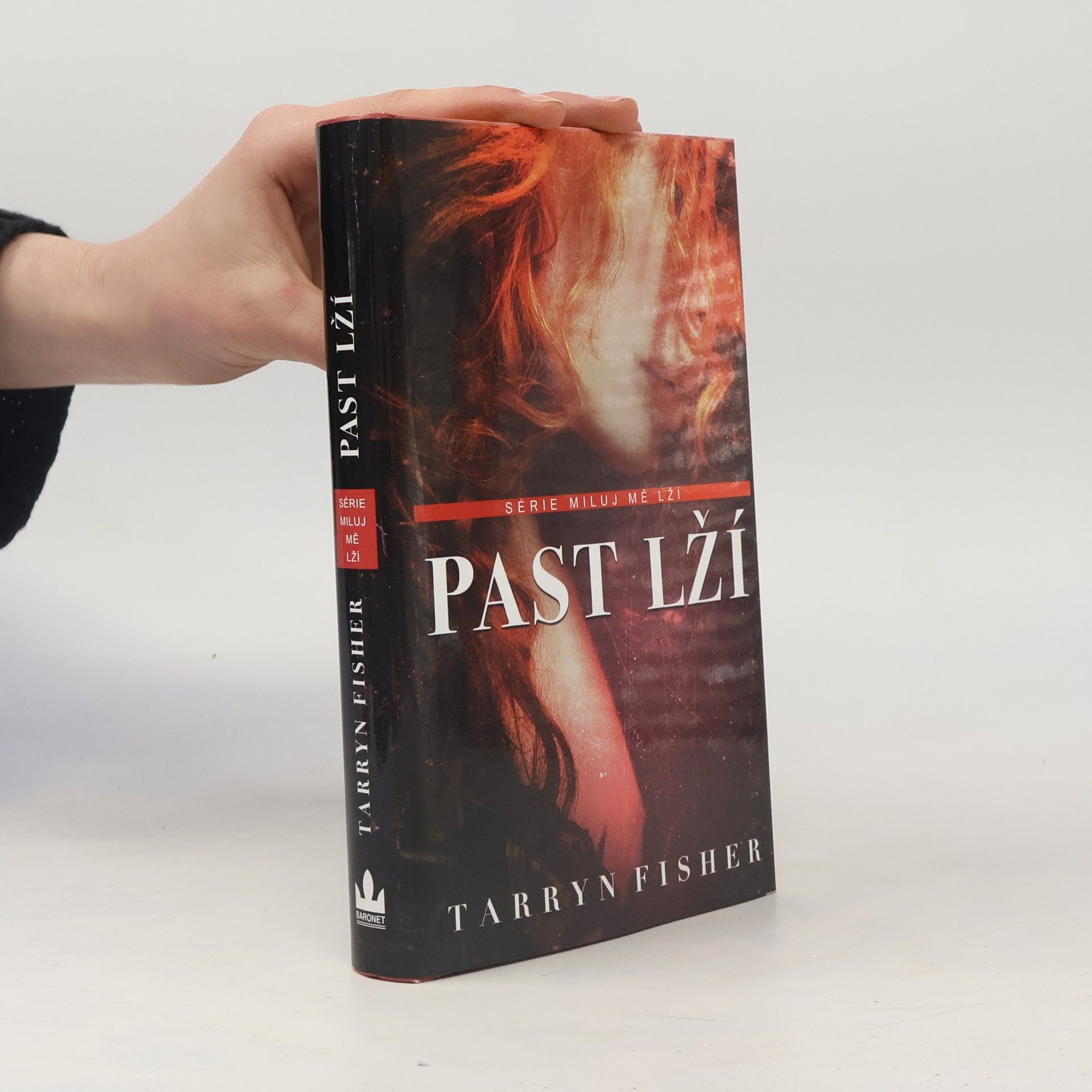 Tarryn Fisher Past lží