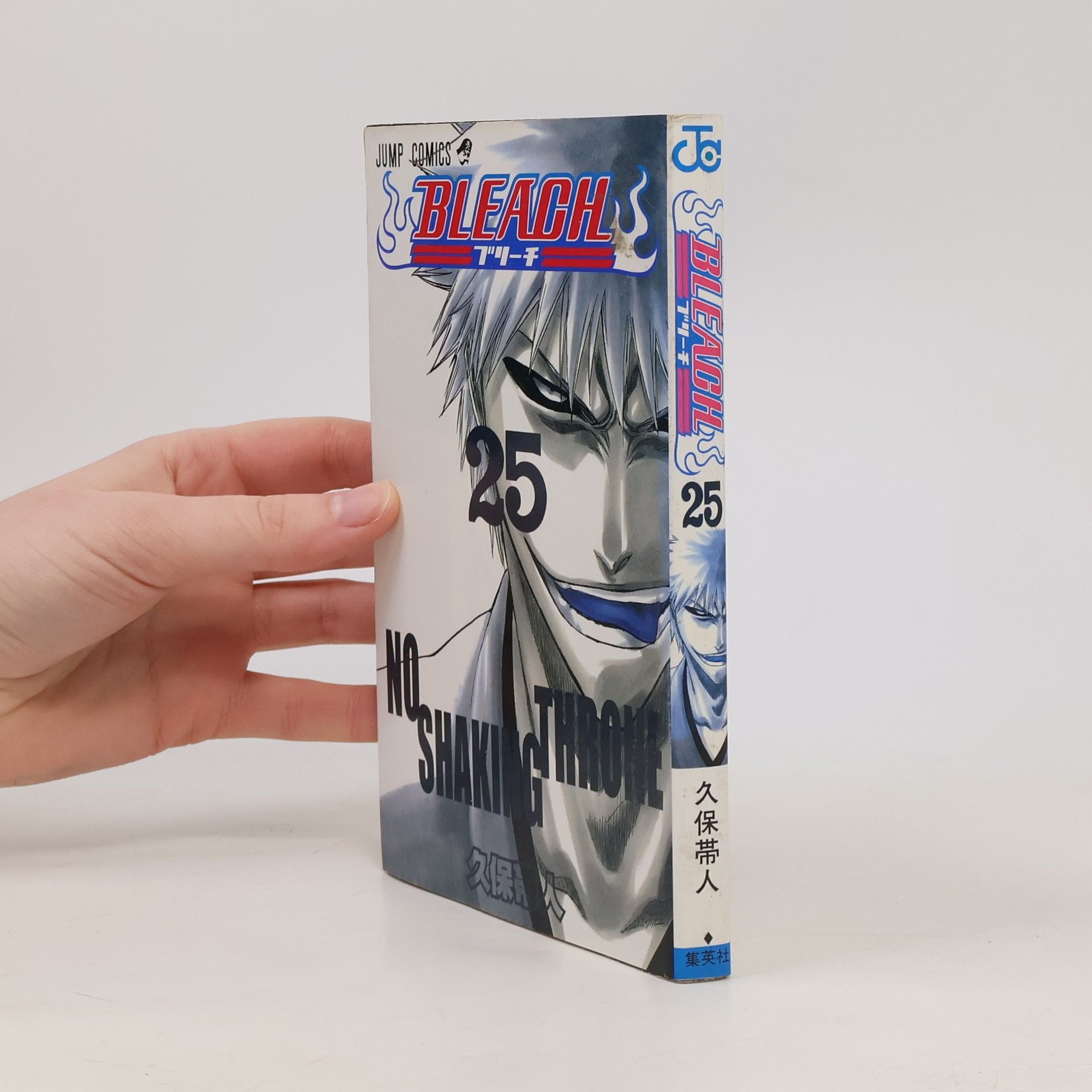 Kubo Taito Bleach 25 No Shaking Throne (Japanese Edition)