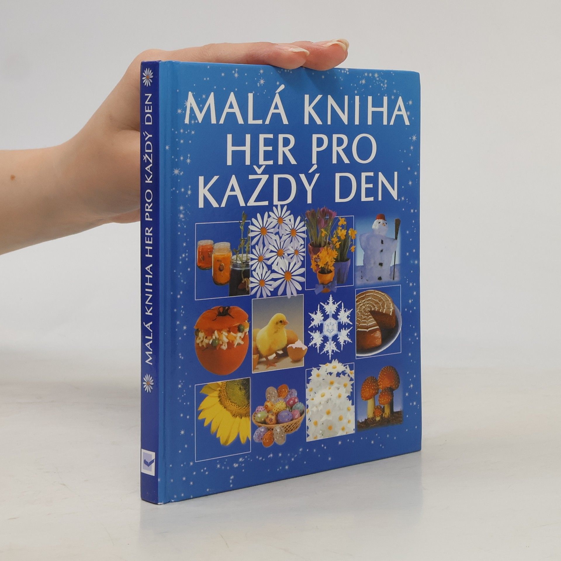 Dona Zalmanová Malá kniha her pro každý den