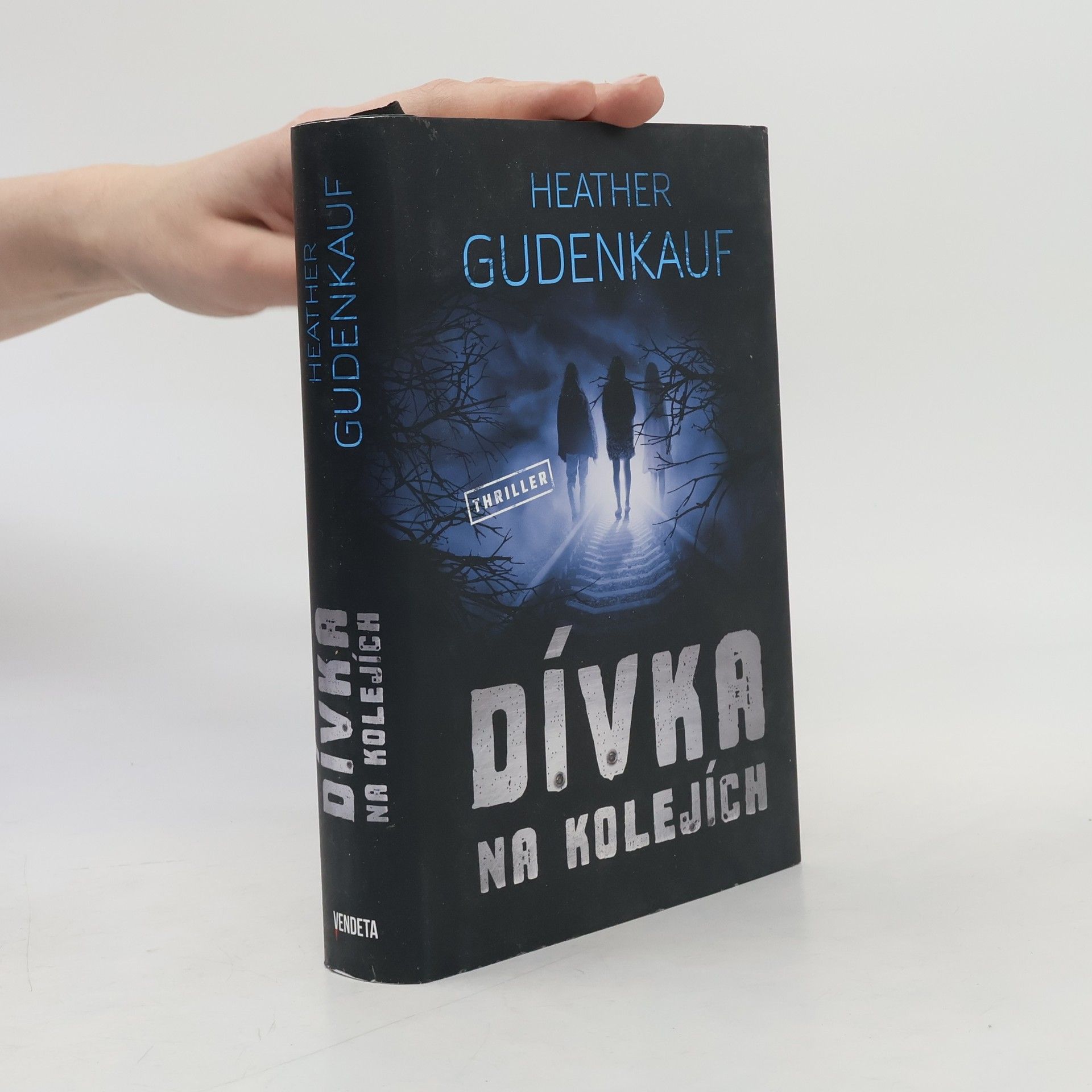 Heather Gudenkauf Dívka na kolejích