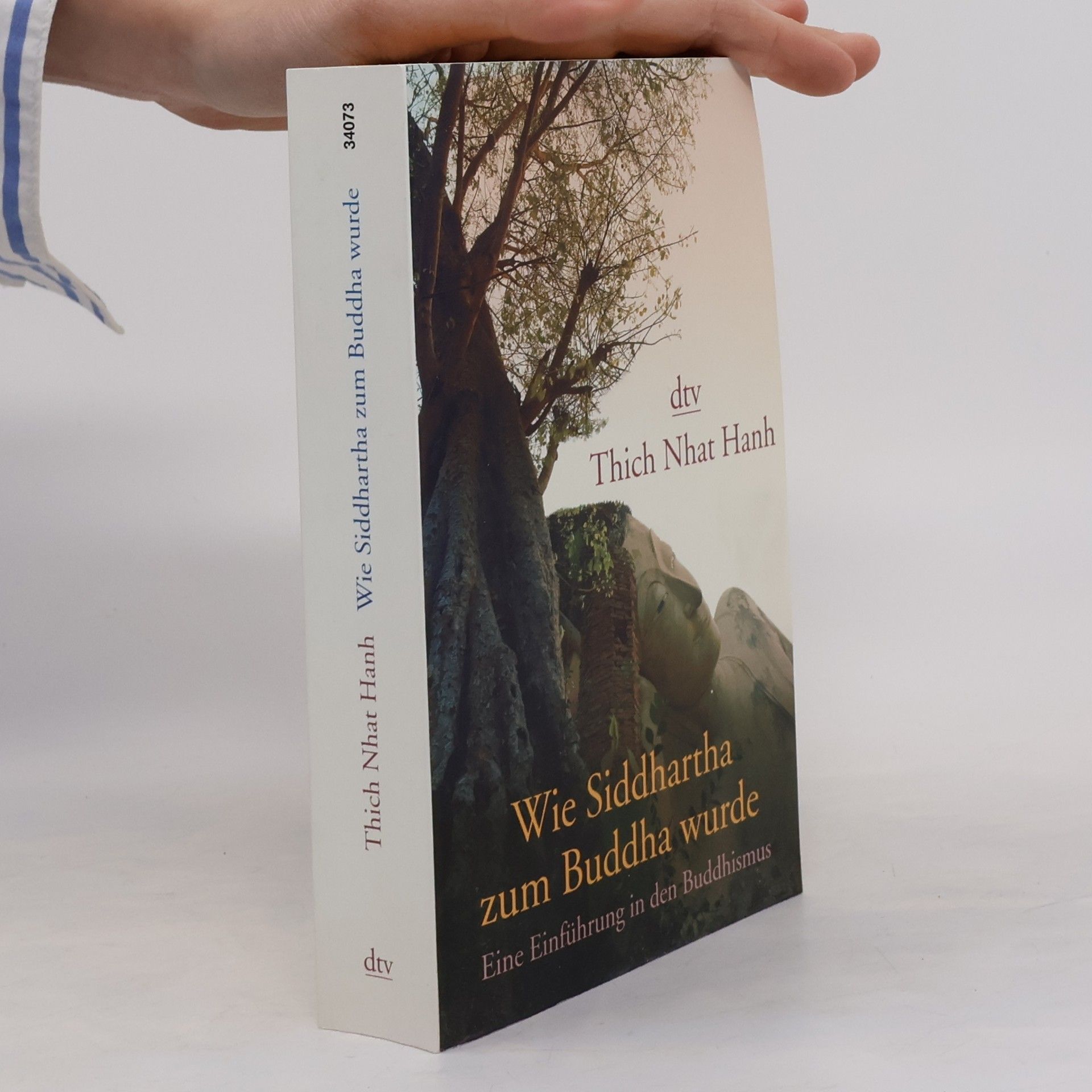 Thích Nhất Hạnh Wie Siddhartha zum Buddha wurde