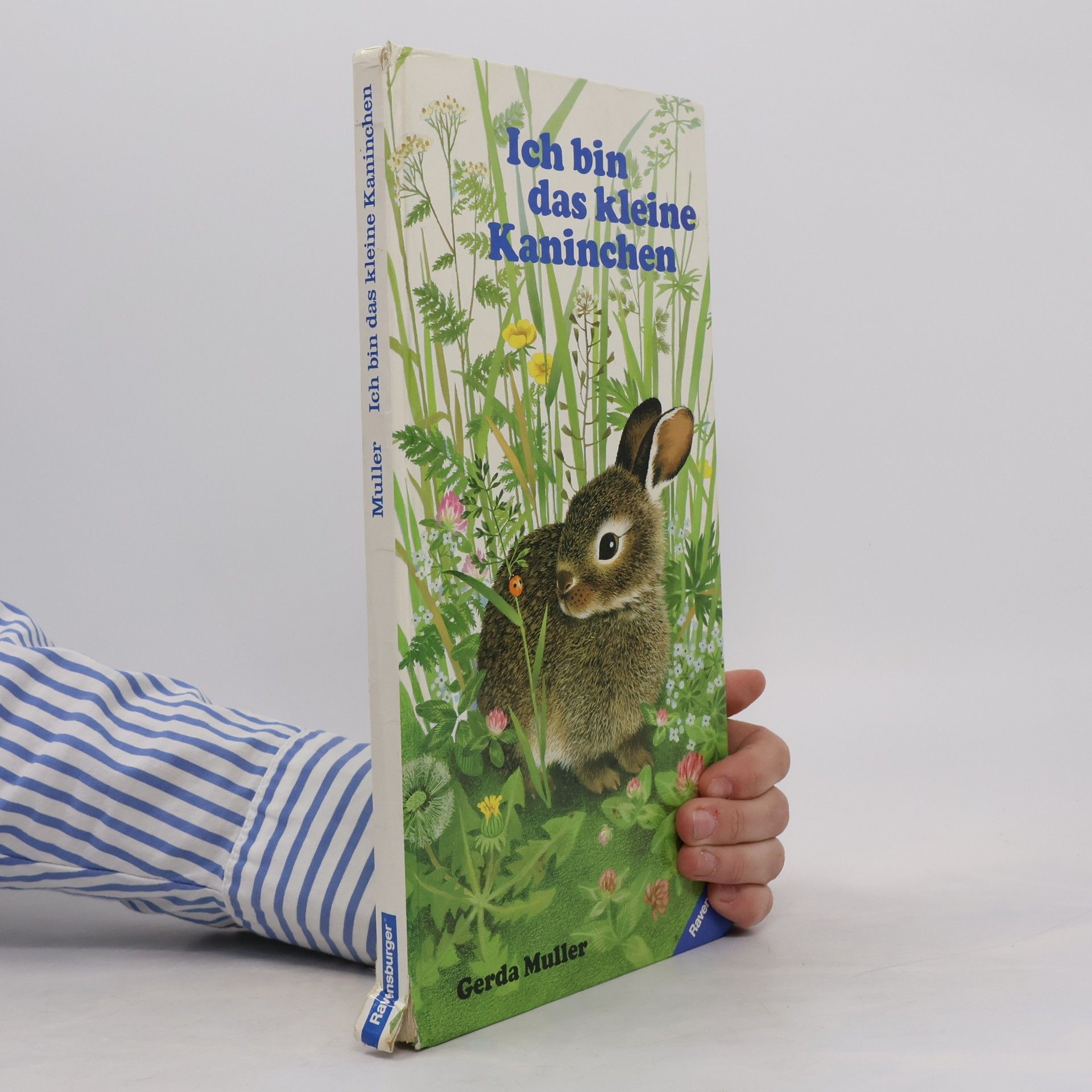 Gerda Muller Ich bin das kleine Kaninchen