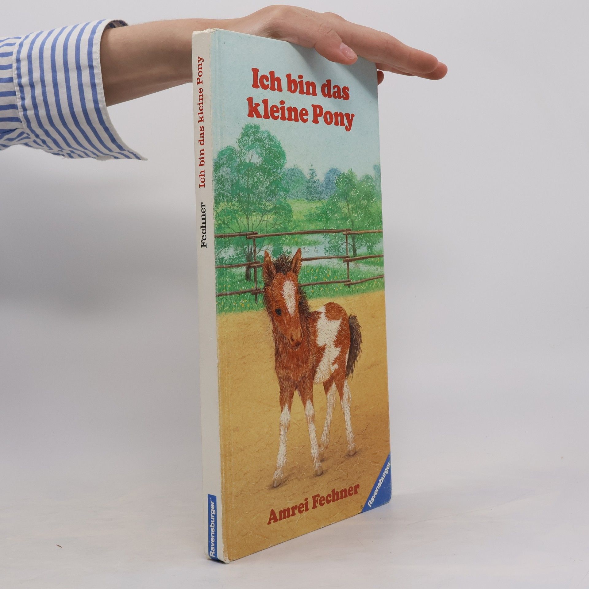 Amrei Fechner Ich bin das kleine Pony