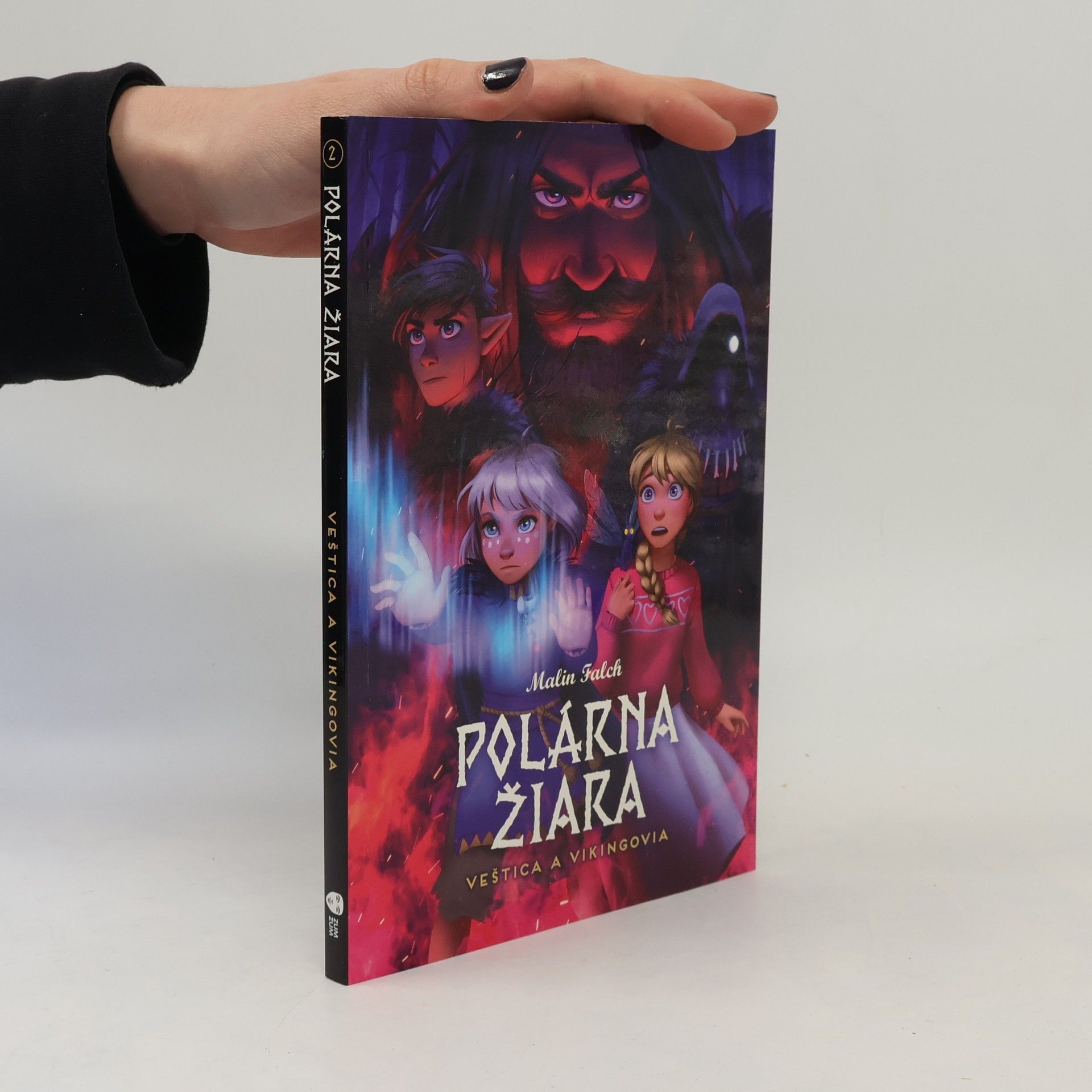 Malin Falch Polárna žiara. Veštica a vikingovia