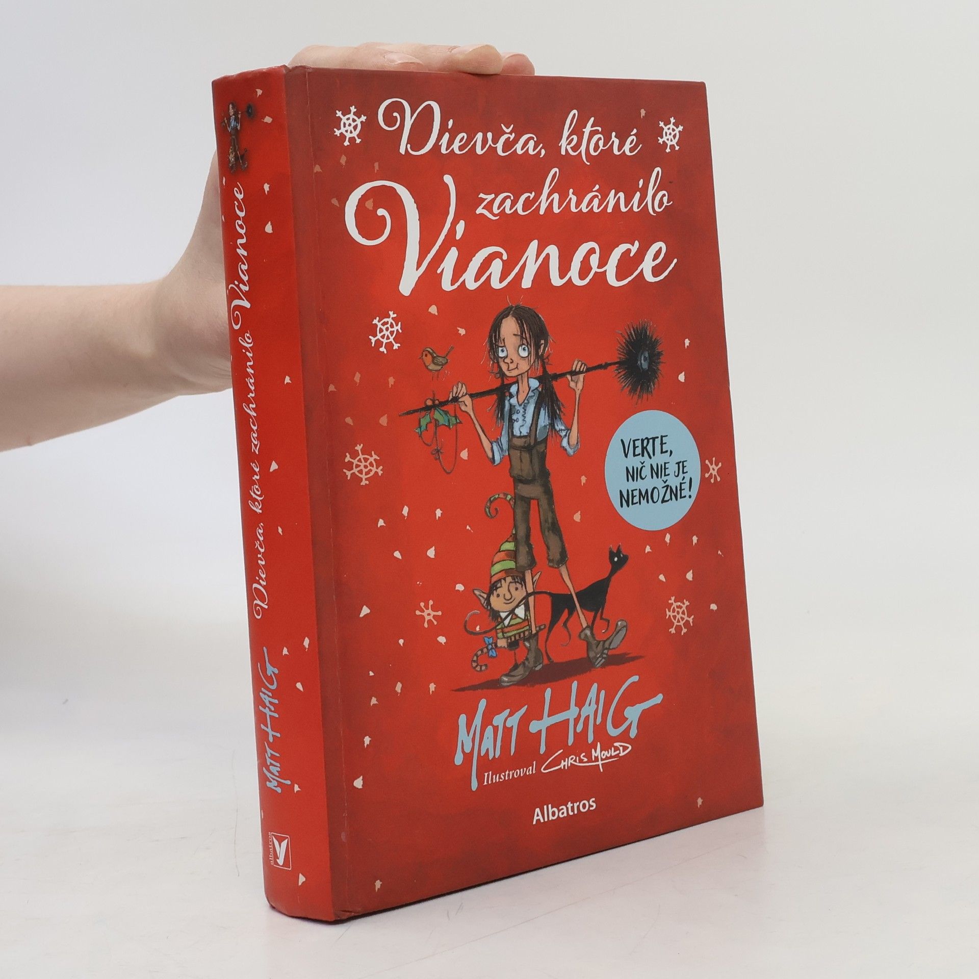 Matt Haig Dievča, ktoré zachránilo Vianoce